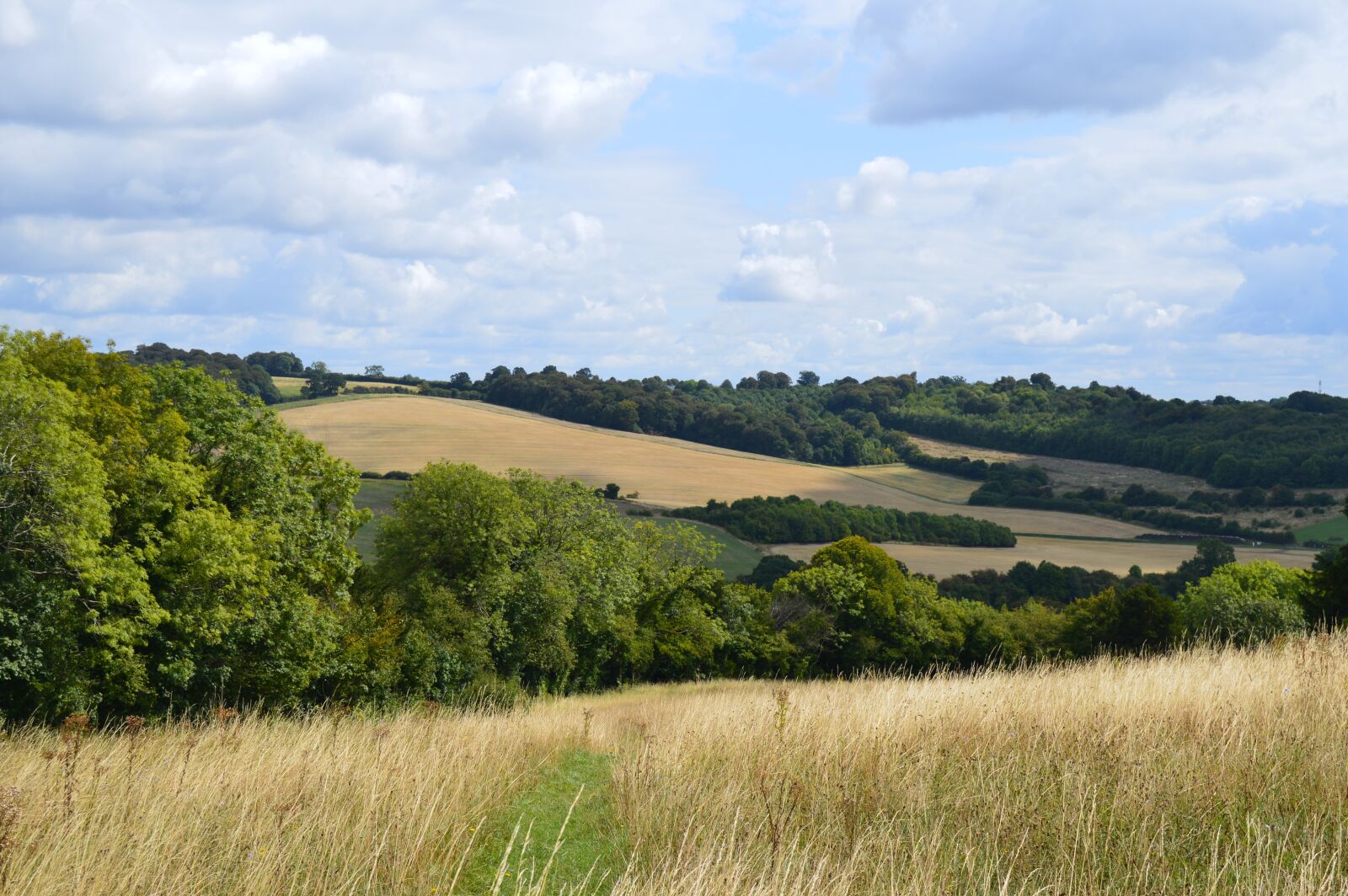 Nikon D3200 sample photo. Field, grass, sky photography