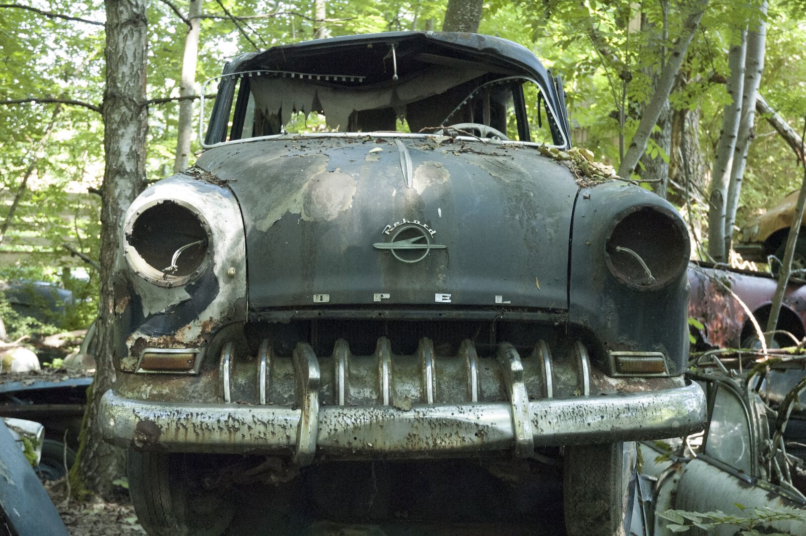Nikon D70 sample photo. Auto, car cemetery, oldtimer photography