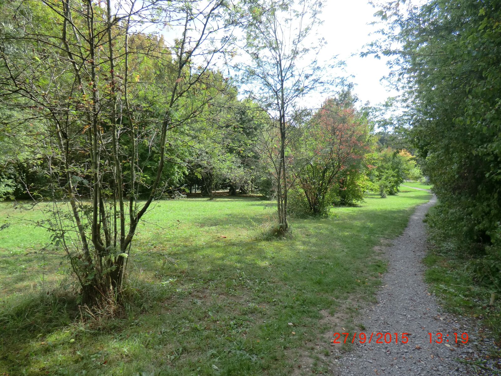 CASIO EX-H5 sample photo. Nature, landscape, green photography