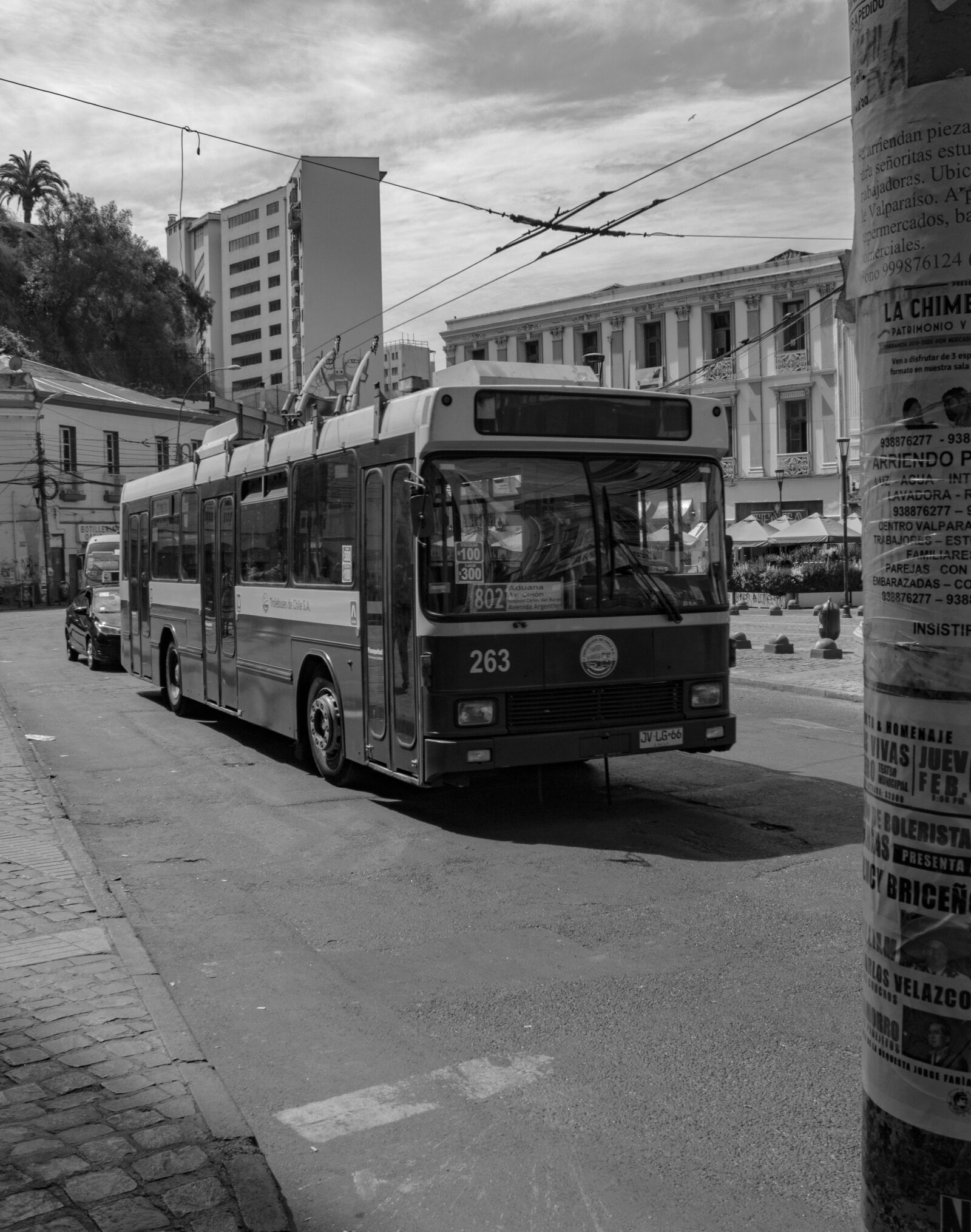 Canon EOS 600D (Rebel EOS T3i / EOS Kiss X5) sample photo. Autobús, valparaiso, blanco photography