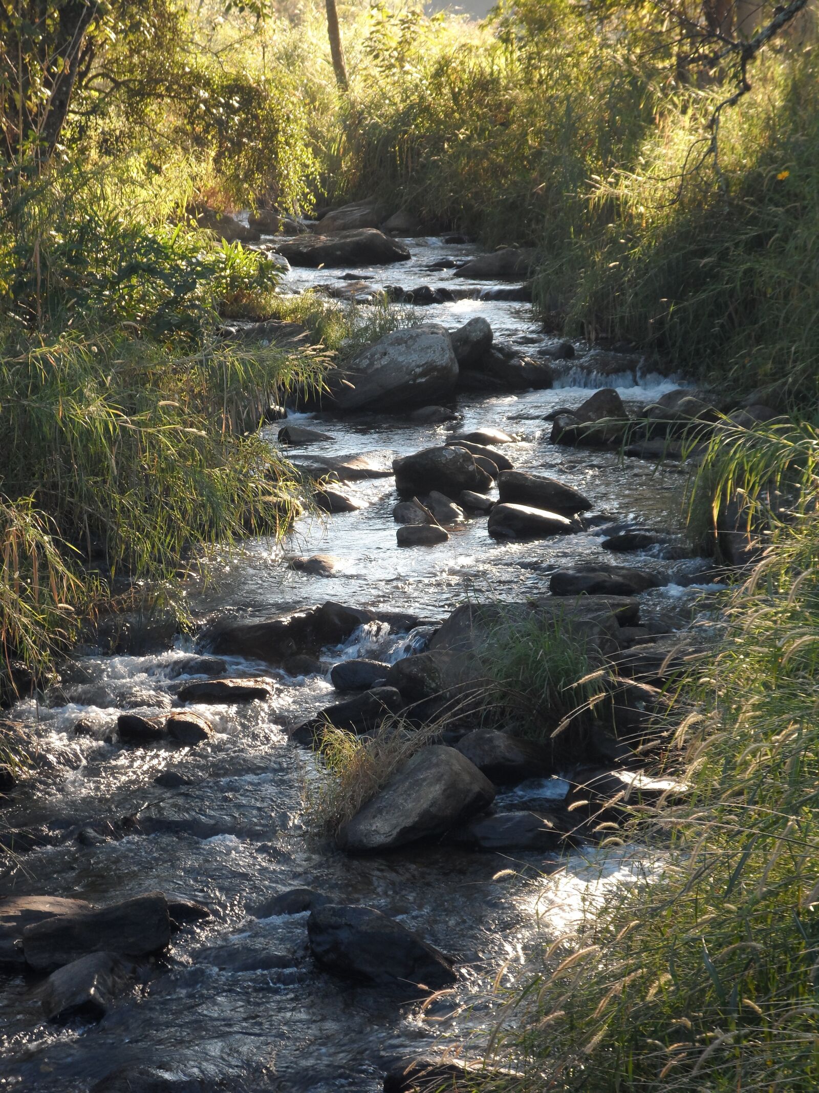 Samsung DV300 / DV300F / DV305F sample photo. River, bach, water photography