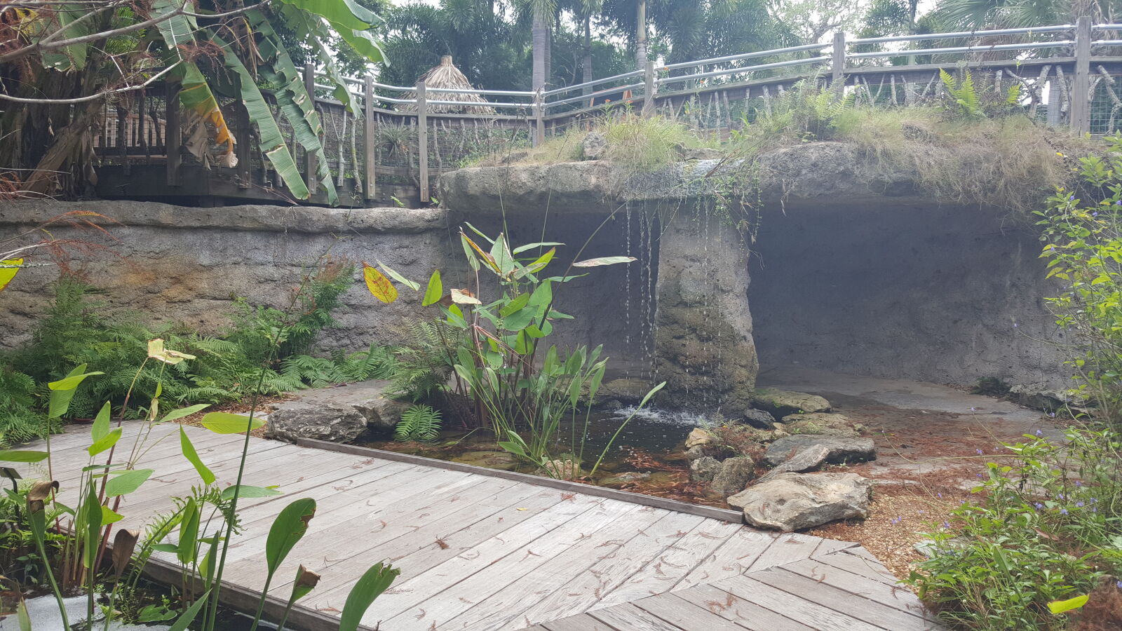 Samsung GALAXY S6 edge sample photo. Botanical, gardens, naples photography