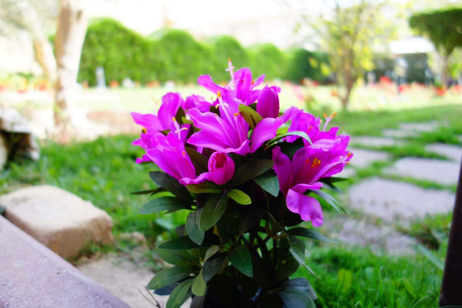 Sony Cyber-shot DSC-RX100 sample photo. Artificial, flowers, beautiful, flowers photography