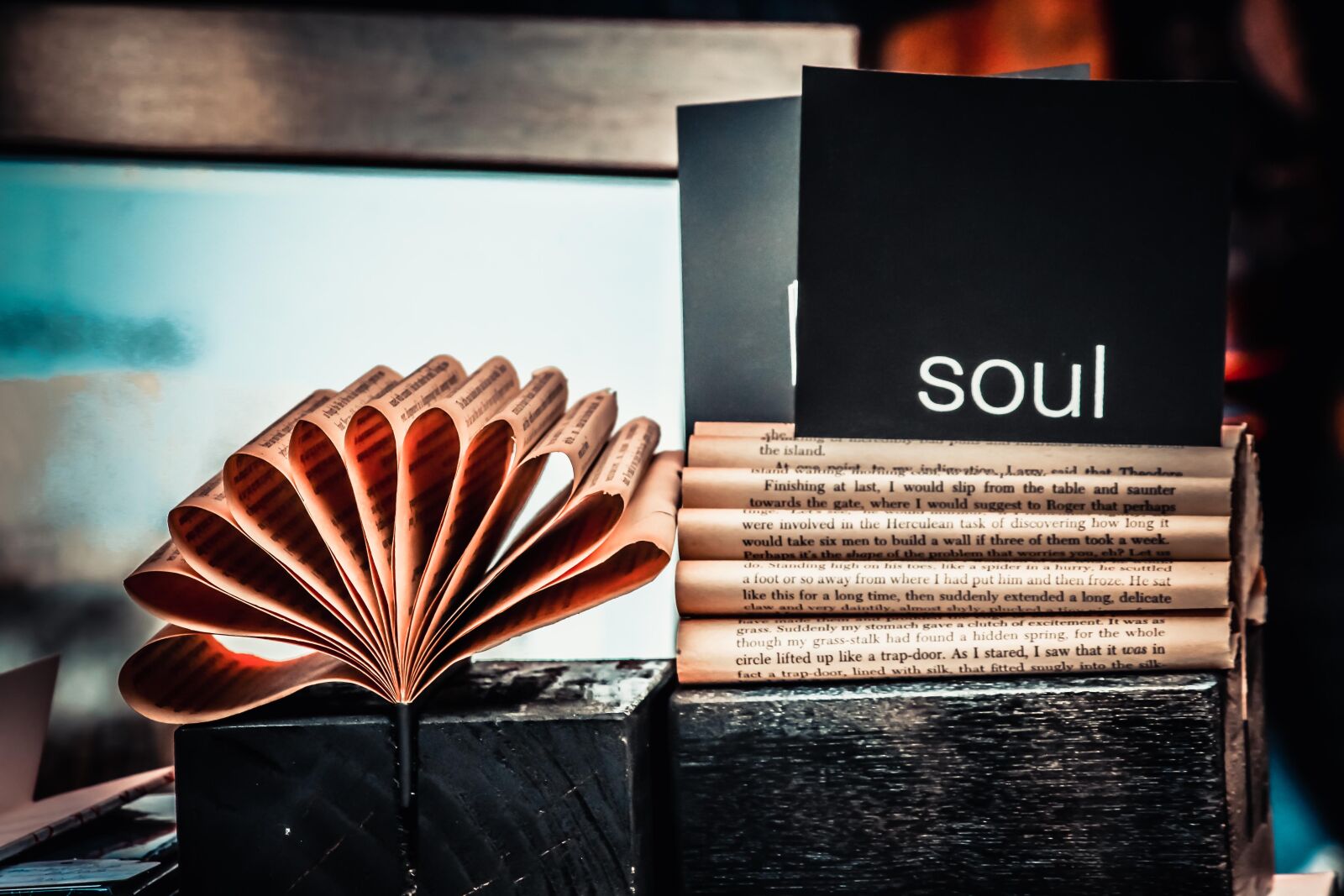 Canon EF-S 55-250mm F4-5.6 IS II sample photo. Black, book, pages, books photography