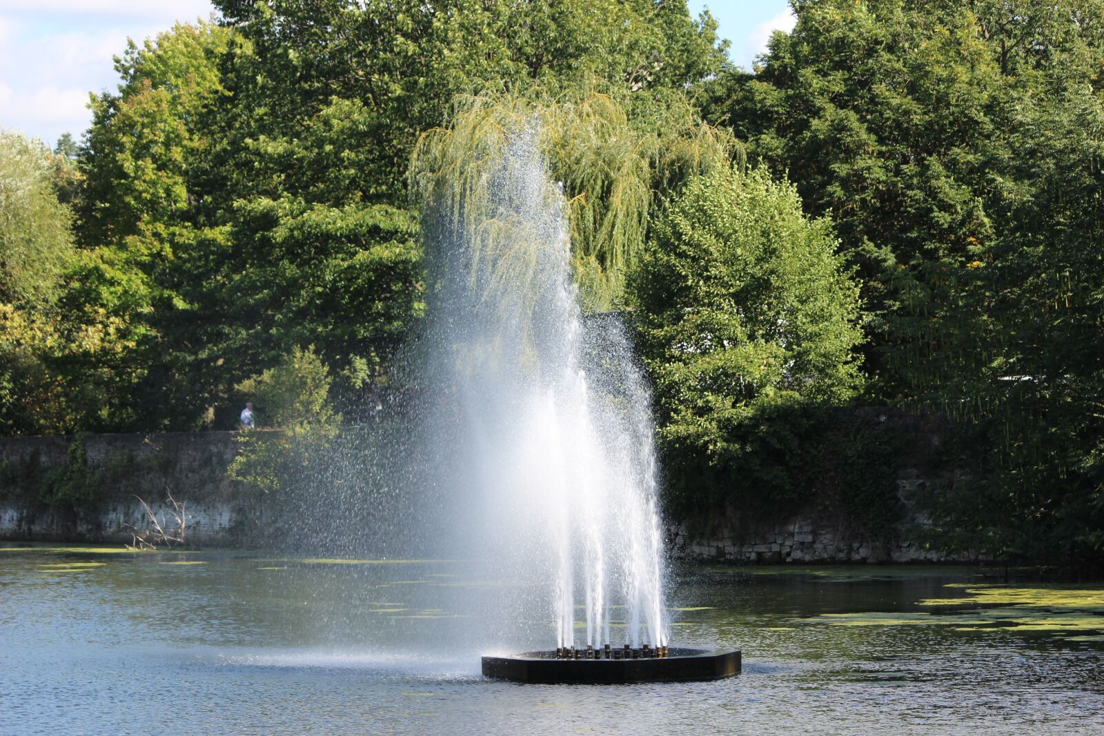Canon EOS 600D (Rebel EOS T3i / EOS Kiss X5) sample photo. Waters, nature, tree photography