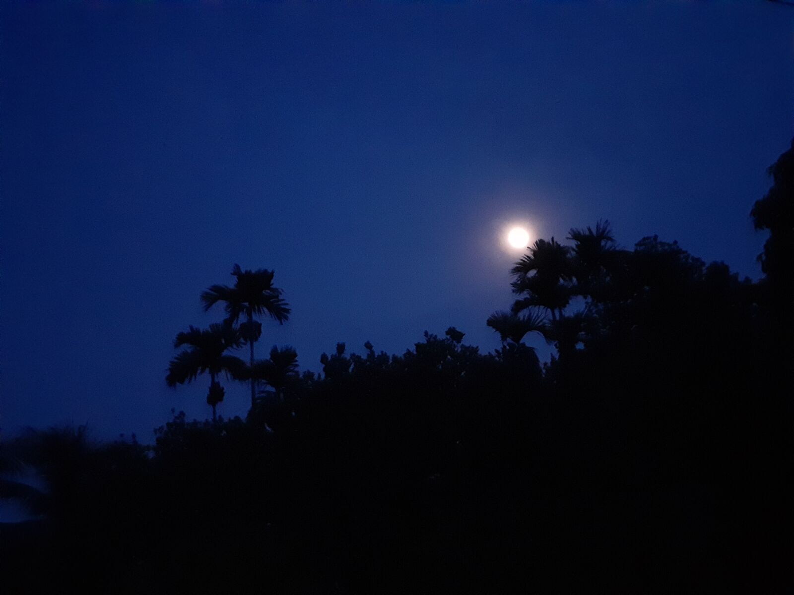 Samsung Galaxy A20 sample photo. Nature of night, beautiful photography