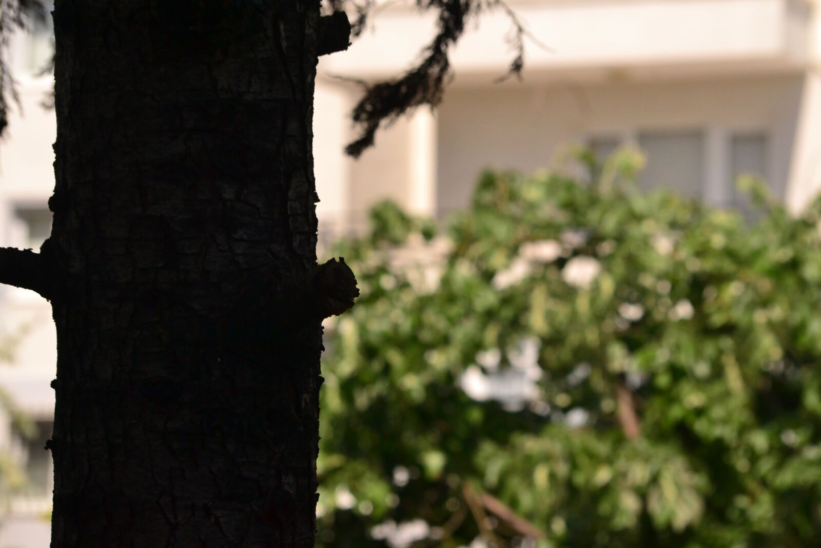 Nikon D3100 sample photo. Turkey, bursa, nilufer photography