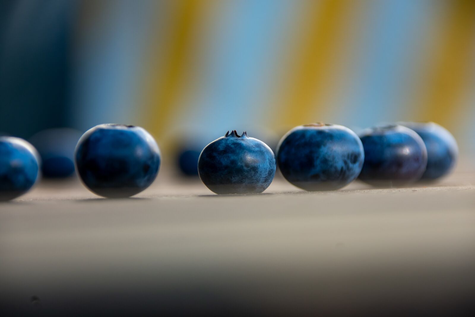 Nikon D3400 sample photo. Blueberry, macro, blueberries photography