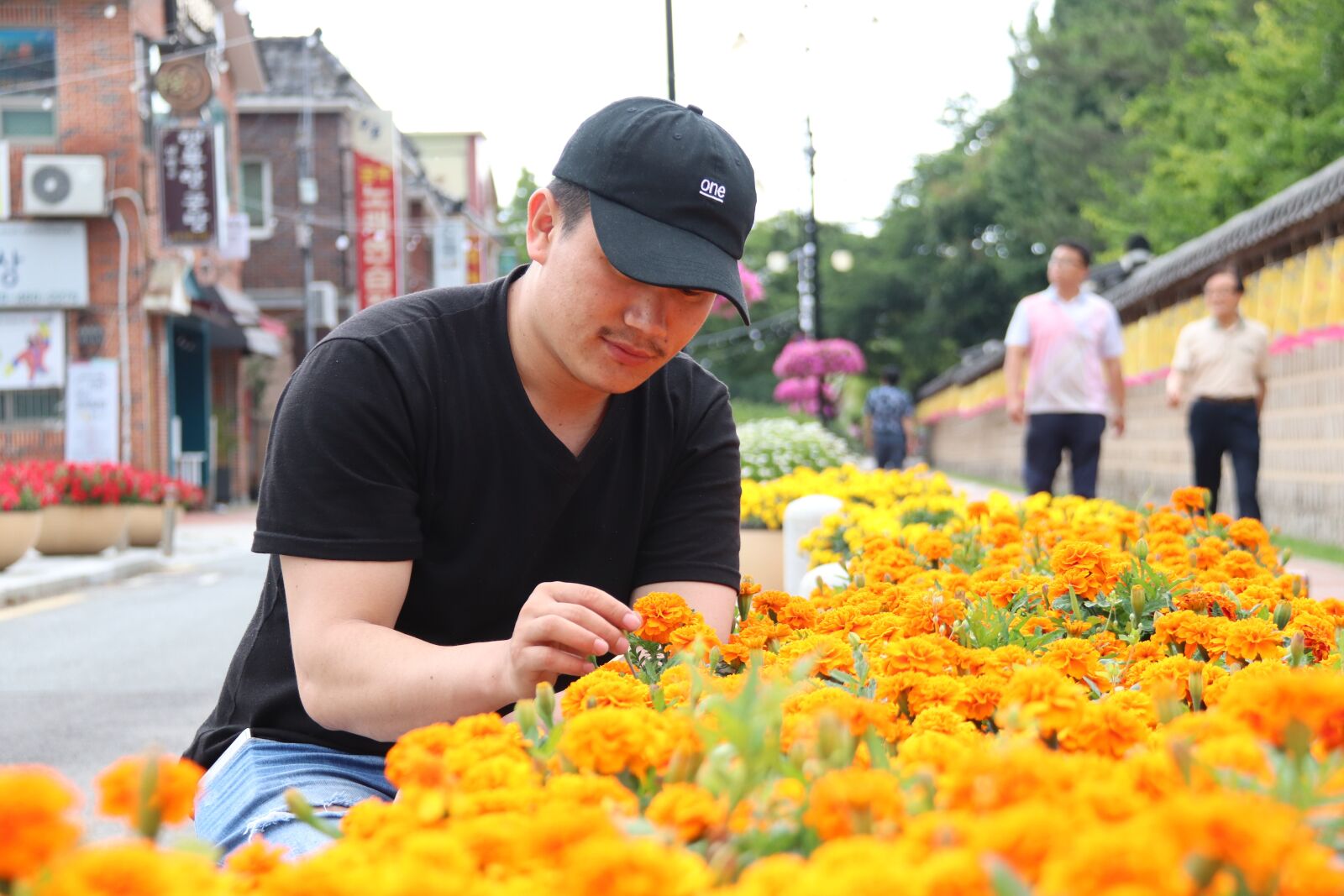 Canon EOS 800D (EOS Rebel T7i / EOS Kiss X9i) sample photo. Flowers, street photography, portrait photography