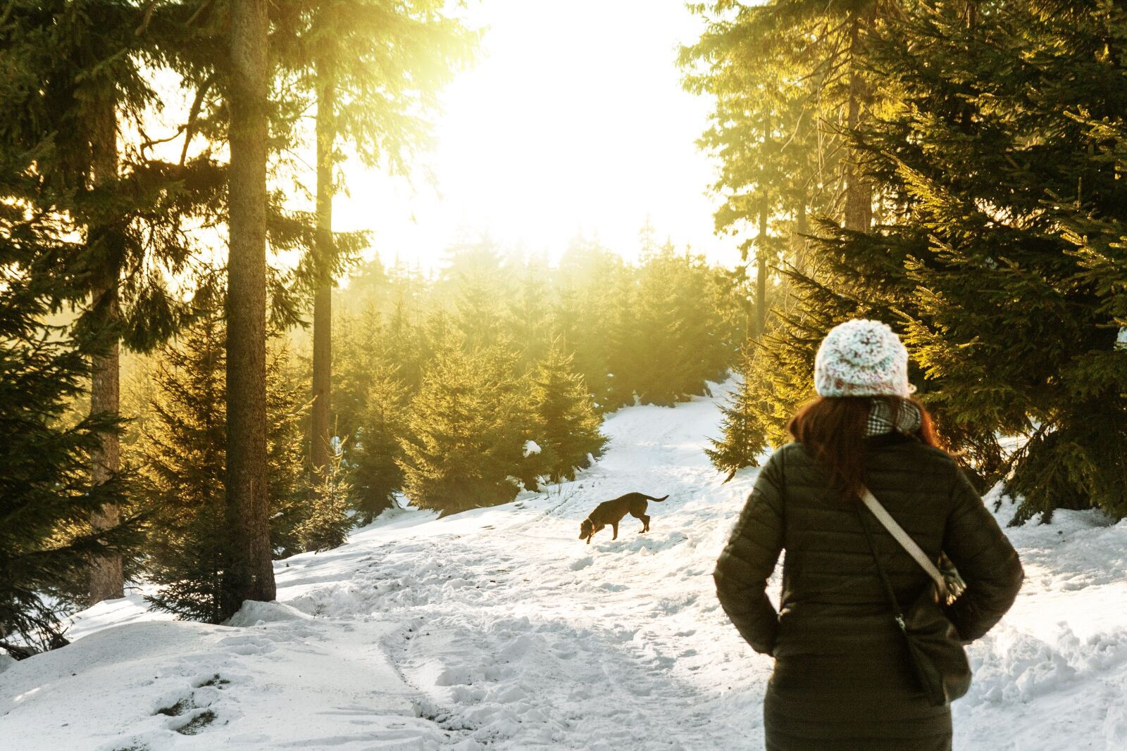Canon EOS 40D sample photo. Snow, winter, white photography