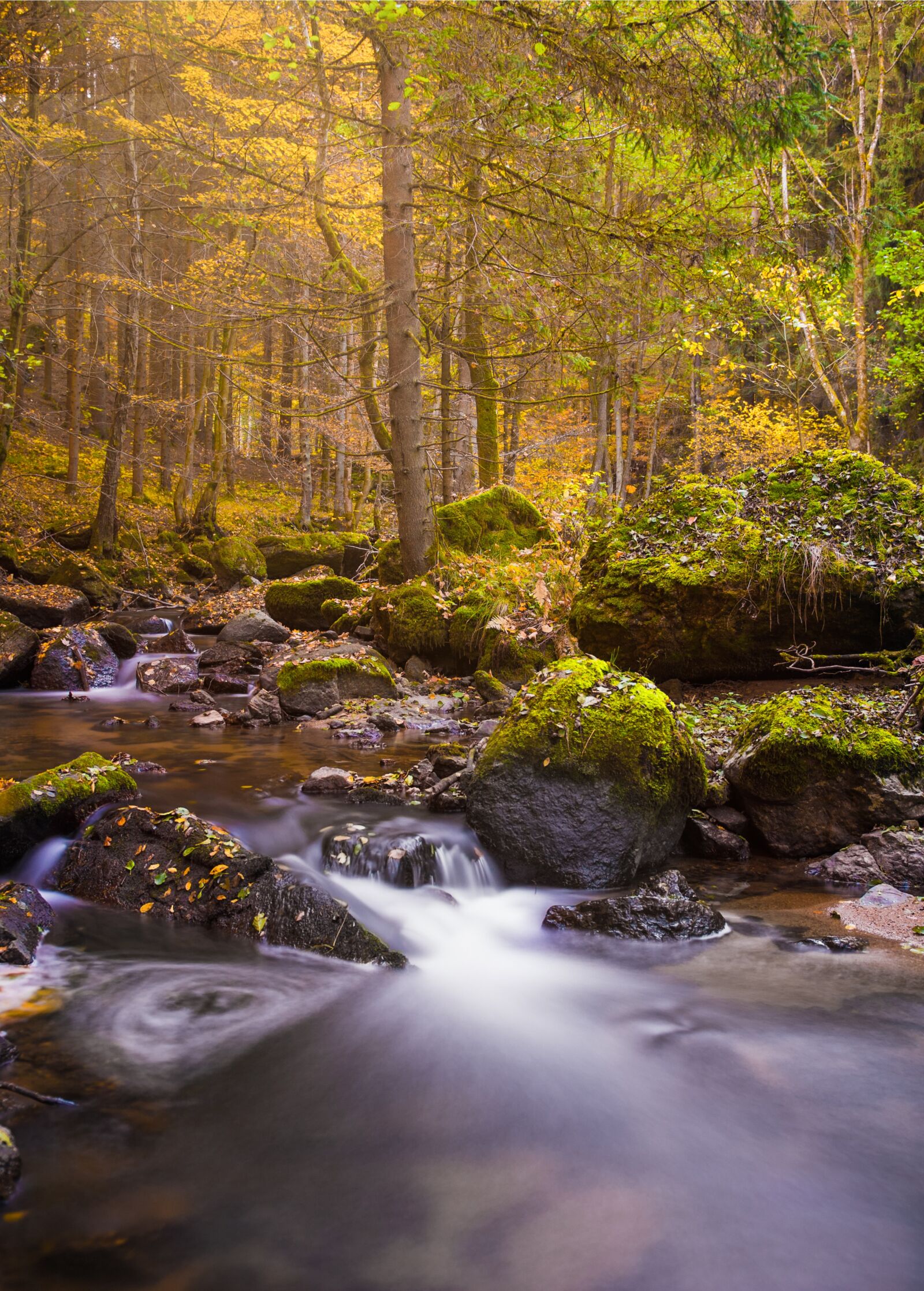 Nikon D750 sample photo. Autumn, waterfall, long exposure photography