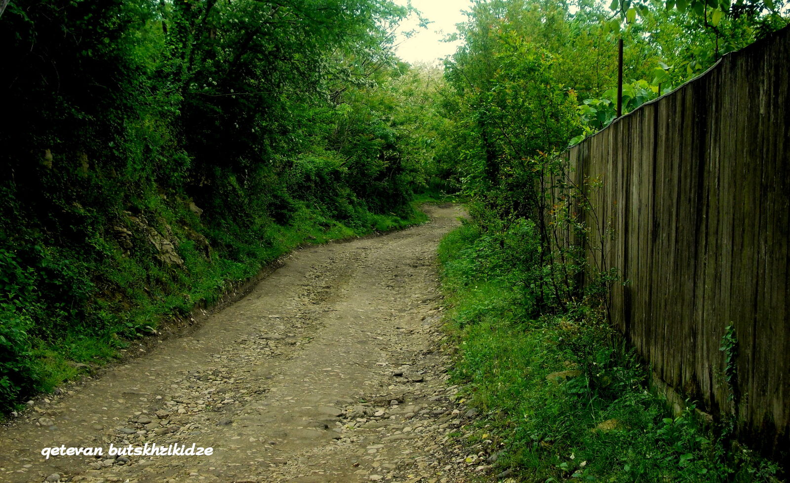 Nikon COOLPIX L25 sample photo. Sazano, village photography
