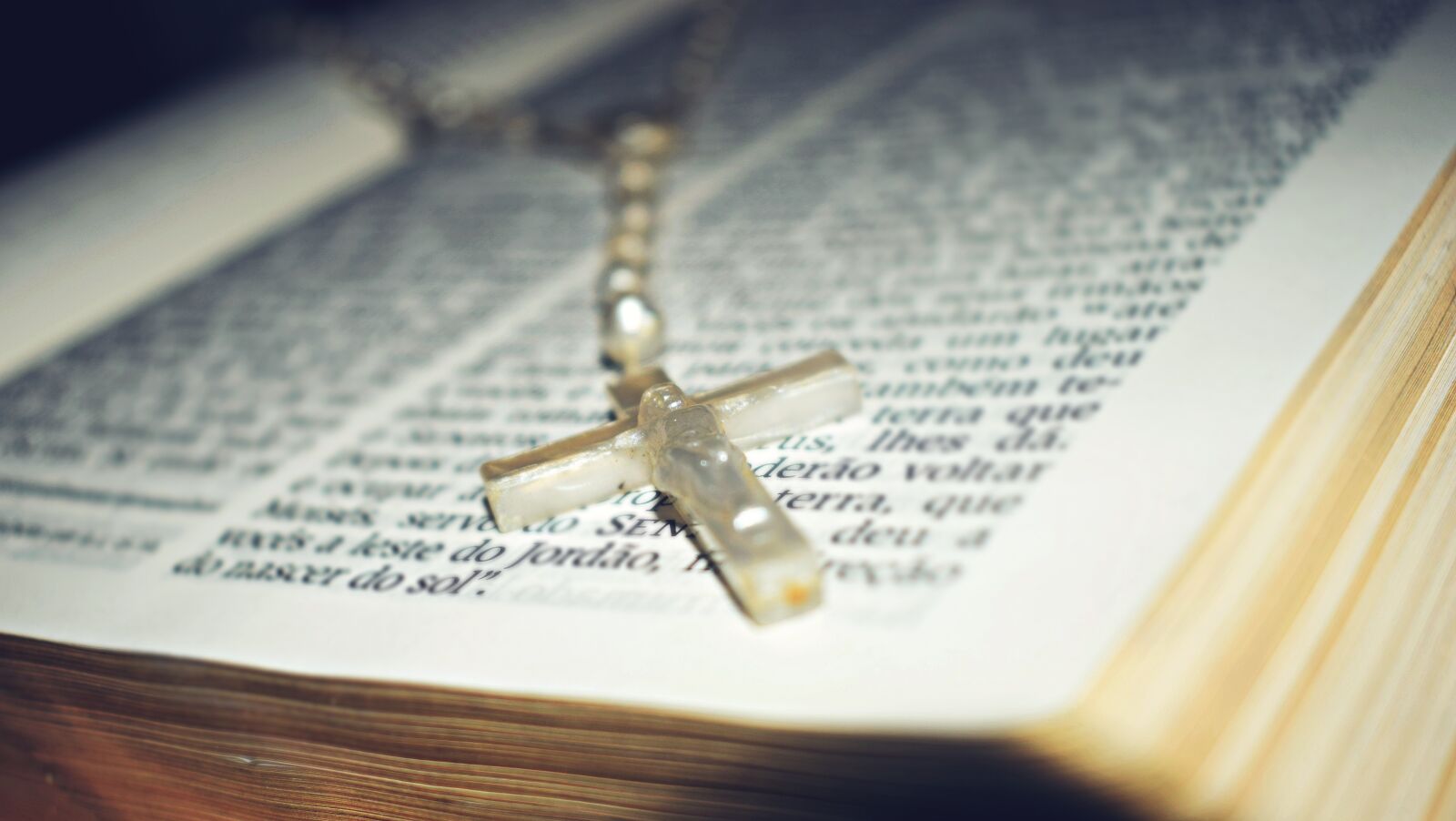 Nikon D5300 sample photo. Holy bible, bible, reading photography