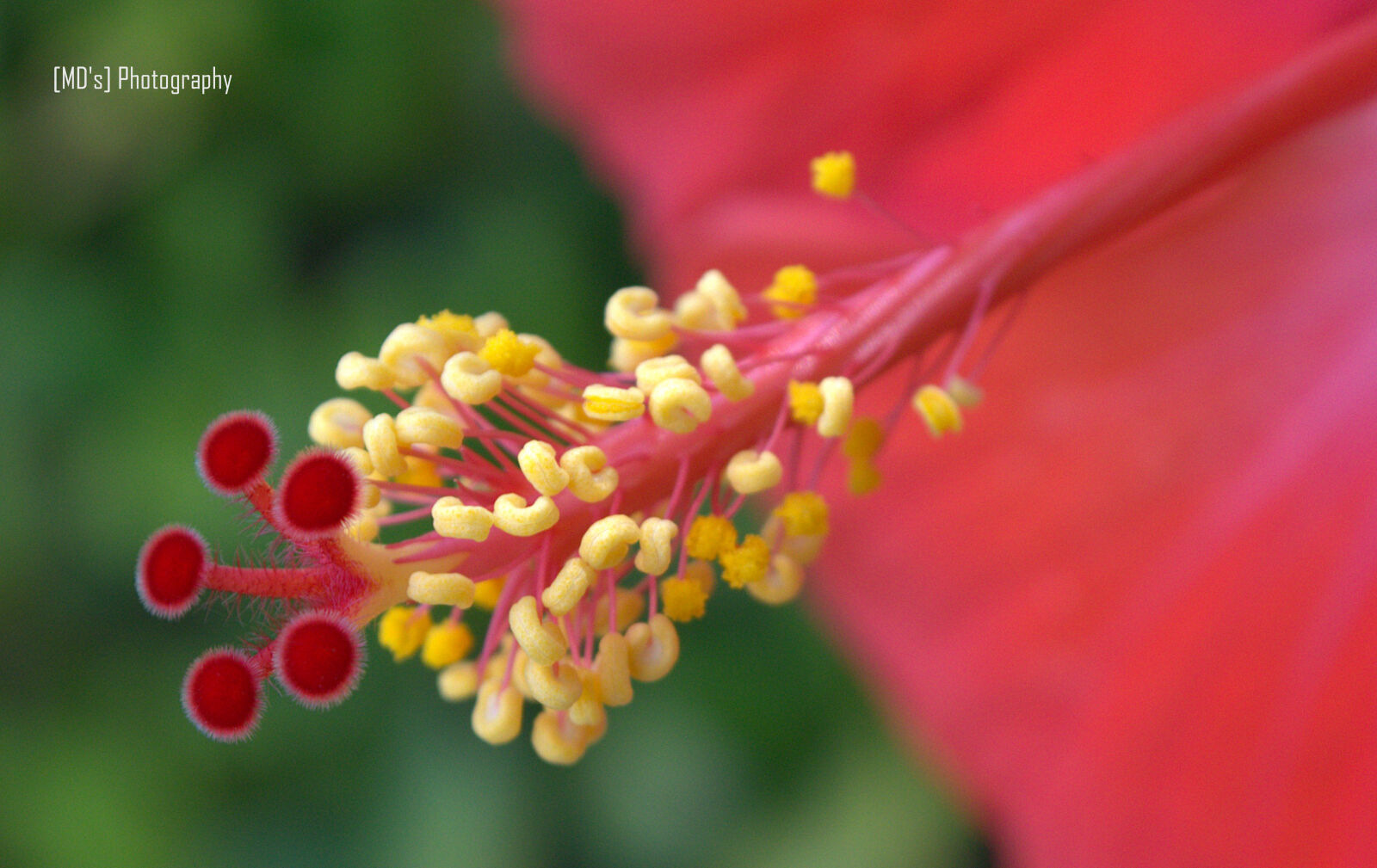 Nikon D5100 sample photo
