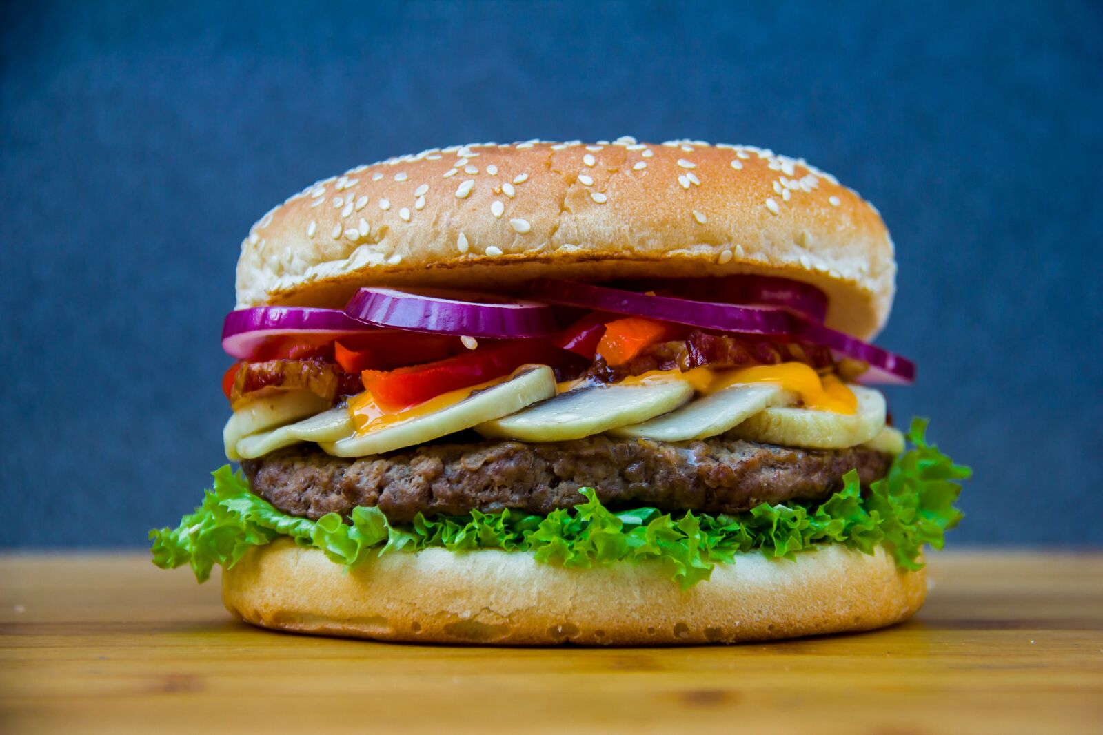 Canon EOS 550D (EOS Rebel T2i / EOS Kiss X4) sample photo. Bread, hamburger, eating photography