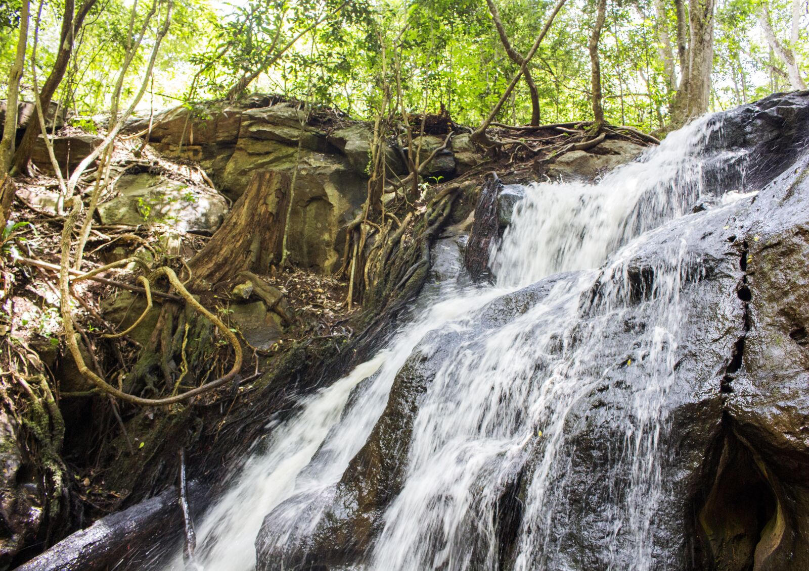 Canon EOS 700D (EOS Rebel T5i / EOS Kiss X7i) sample photo. Karura falls, kenya, karura photography