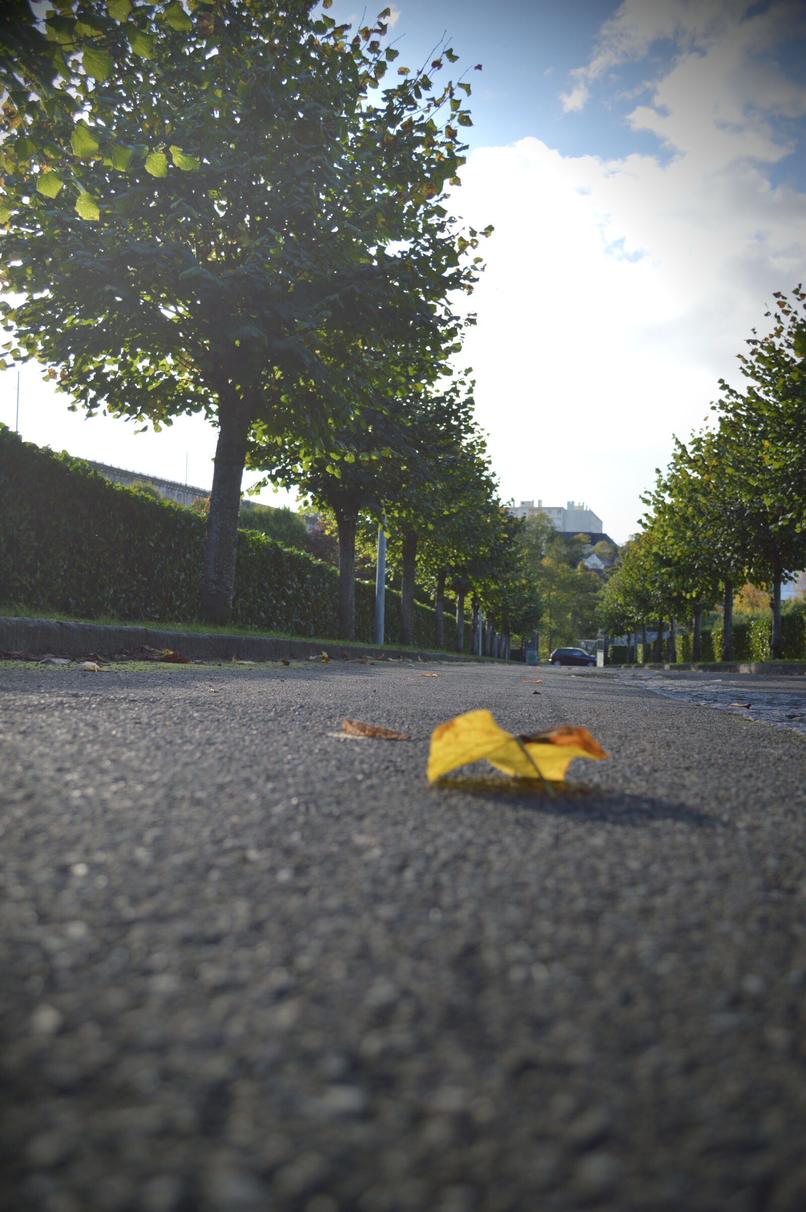 Nikon D3200 sample photo. France, laval, road, viewpoint photography