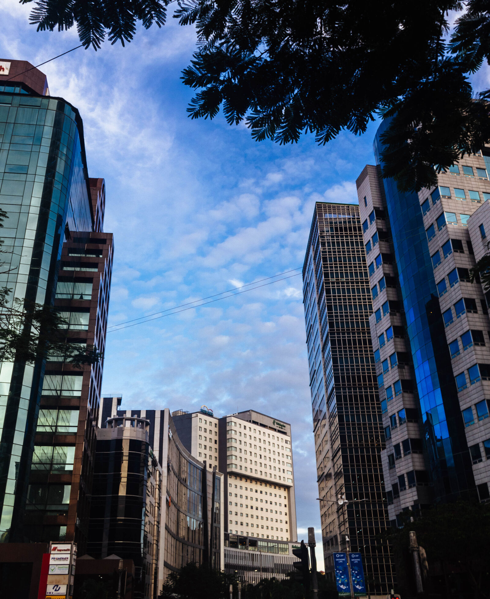 Pentax K-01 sample photo