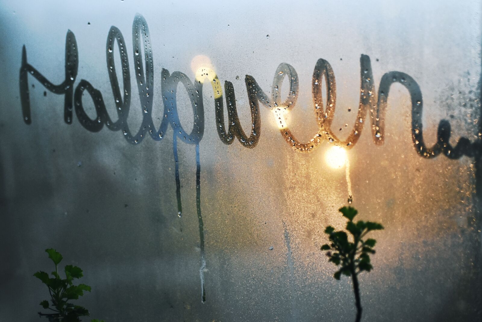 Nikon D7200 sample photo. Halloween, word, text photography