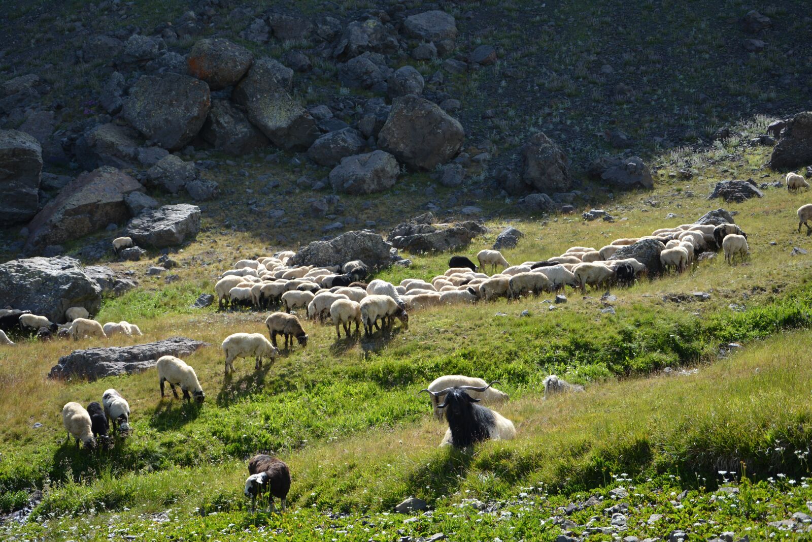 Nikon D7100 sample photo. Nature, landscape, kaçkars photography