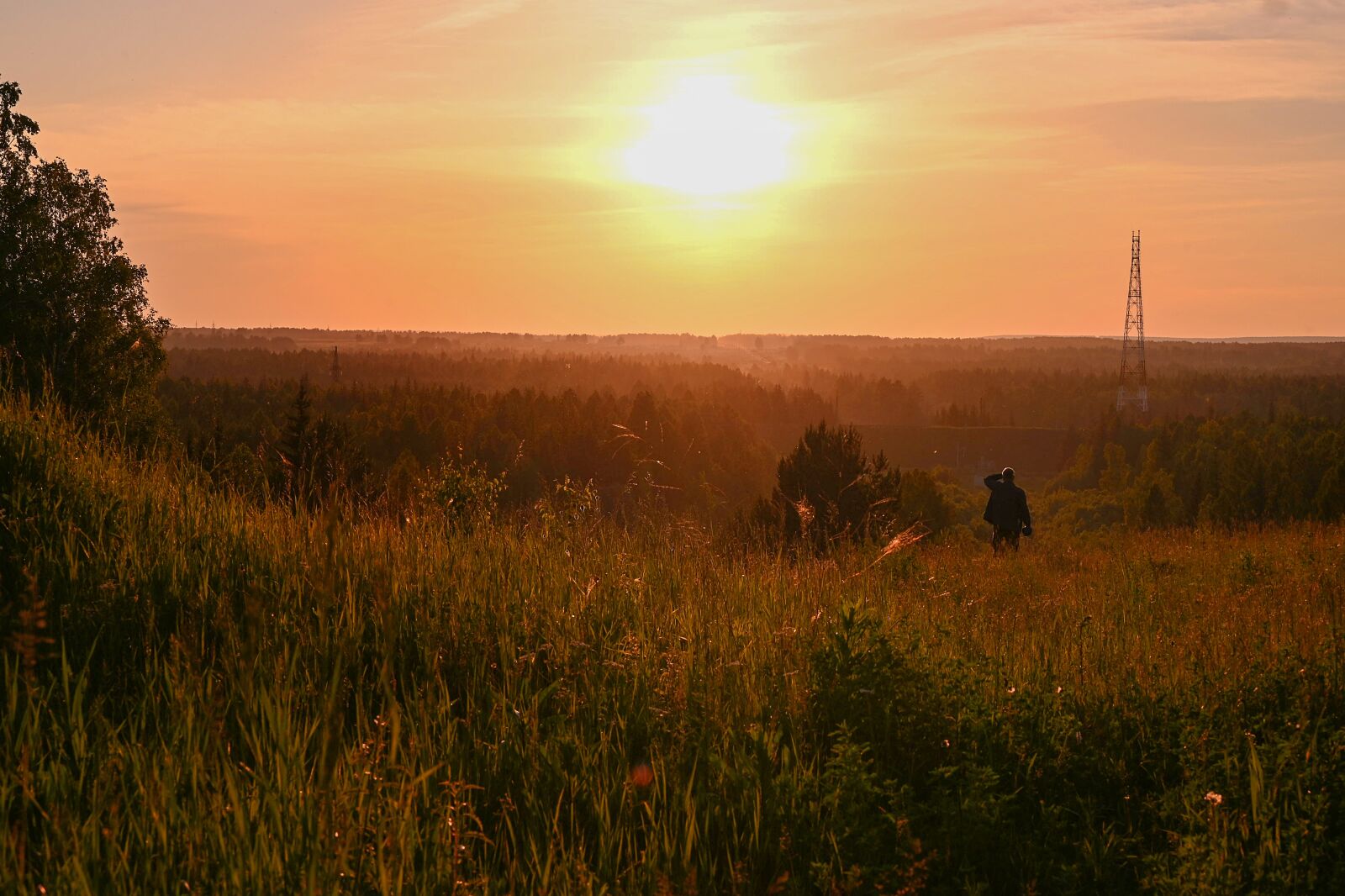 Nikon Nikkor Z 24-70mm F4 S sample photo. Sunset, summer, landscape photography