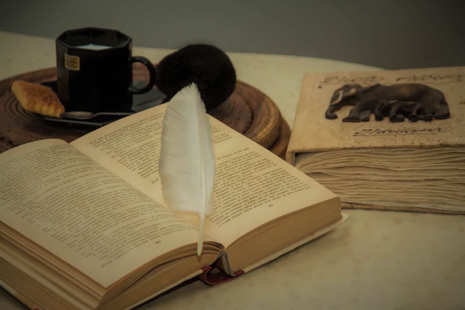 Canon EOS 60D sample photo. Book, pen, knowledge photography