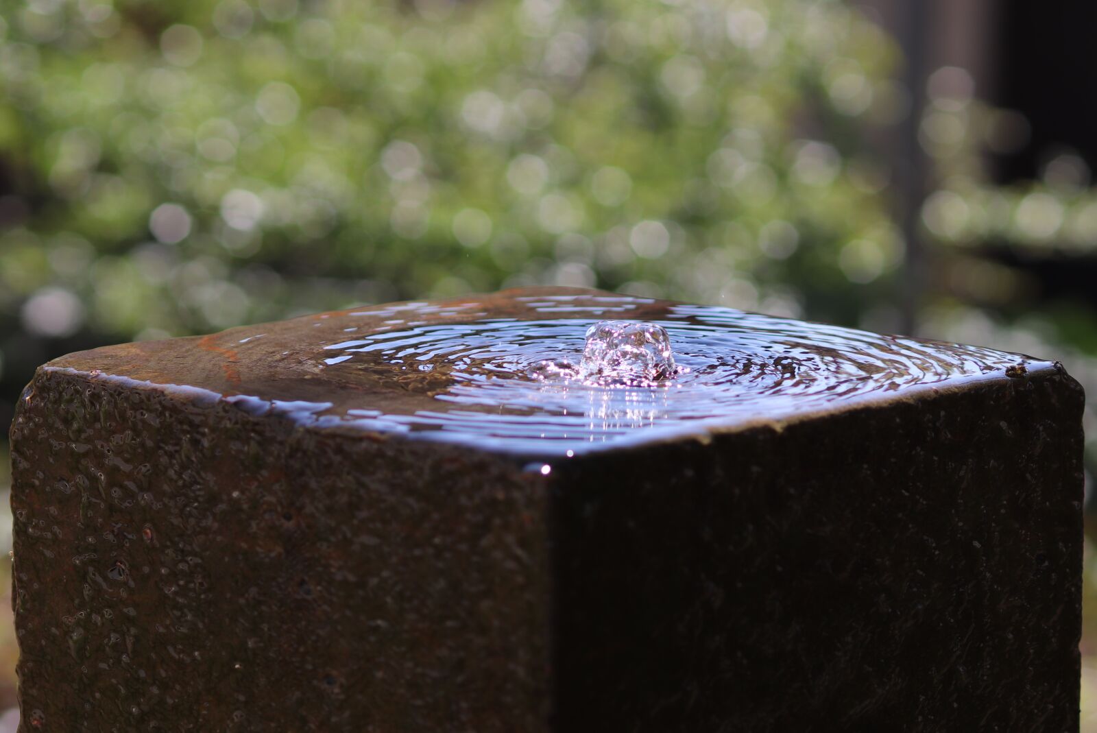 Canon YN85mm f/1.8 DCM sample photo. Water feature, fountain, bubble photography