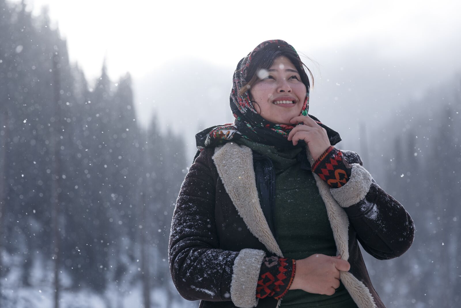 Canon EF 24-70mm F2.8L II USM sample photo. Winter, snow, coldly photography