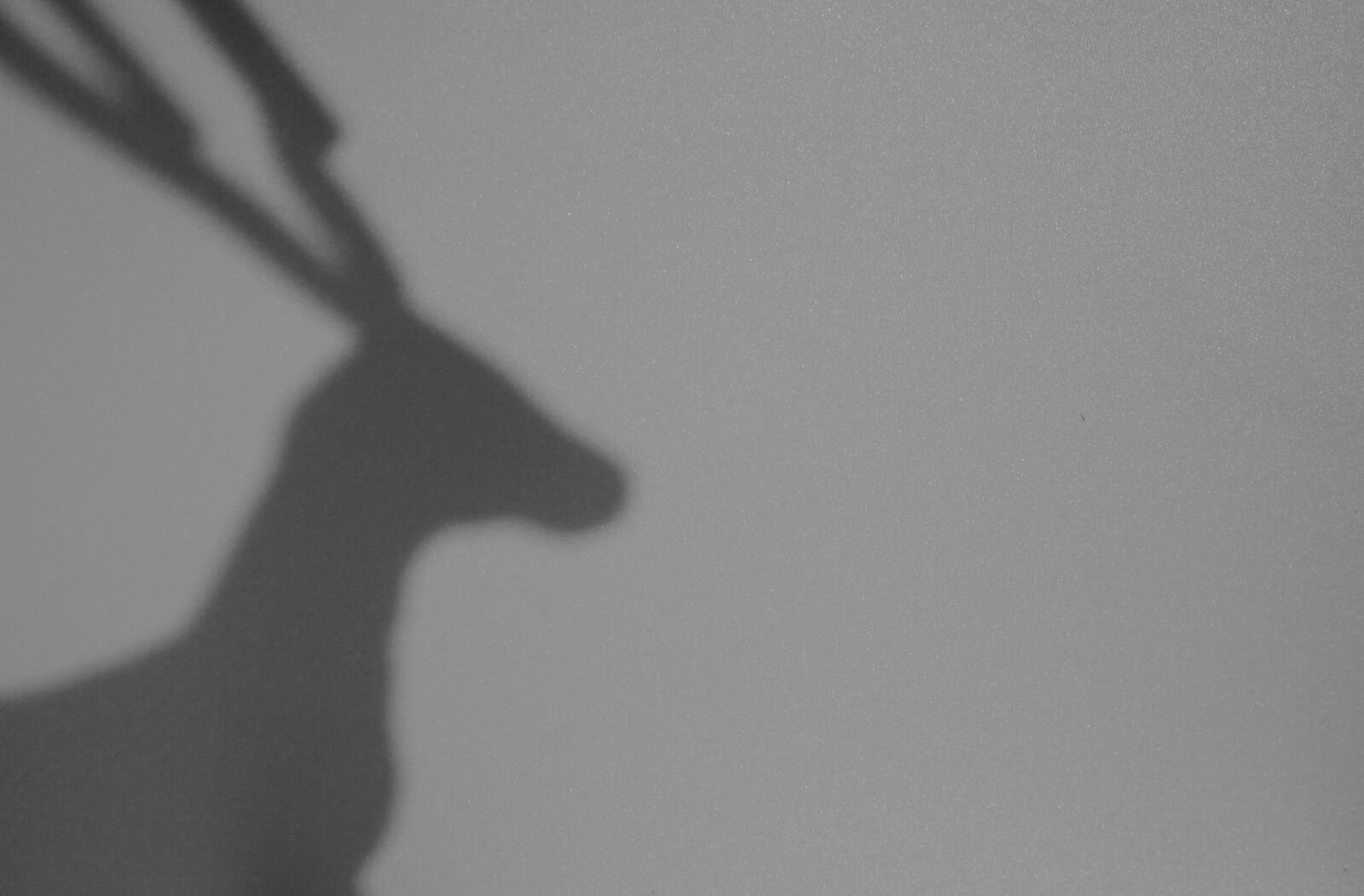Canon EOS 750D (EOS Rebel T6i / EOS Kiss X8i) sample photo. Abstract, pattern, design photography