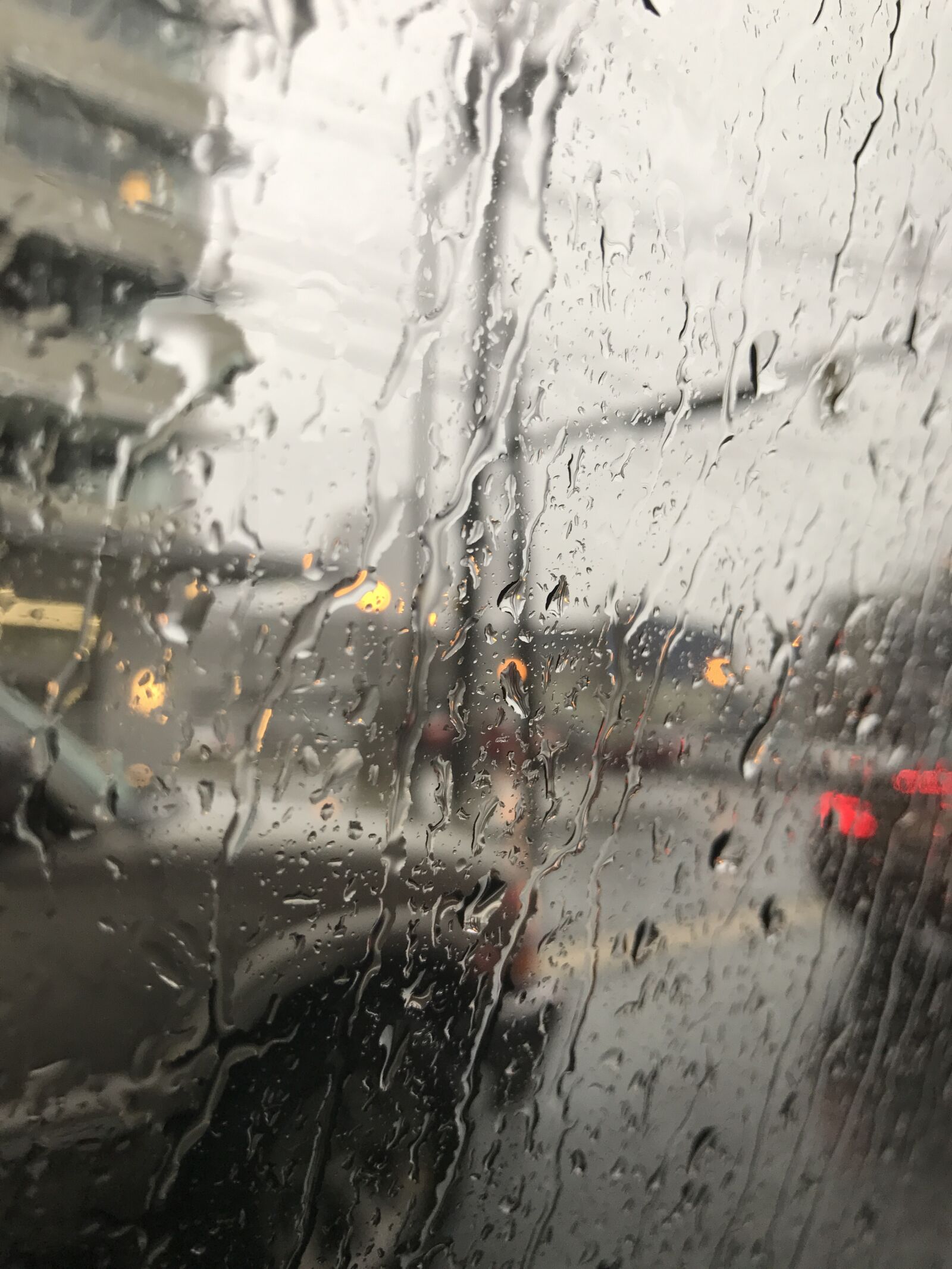 Apple iPhone 7 sample photo. Rain, raindrop, wet photography