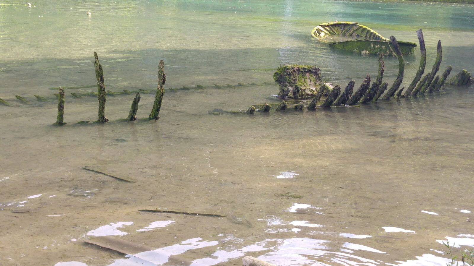 LG G4 sample photo. Skeleton, lake, green photography