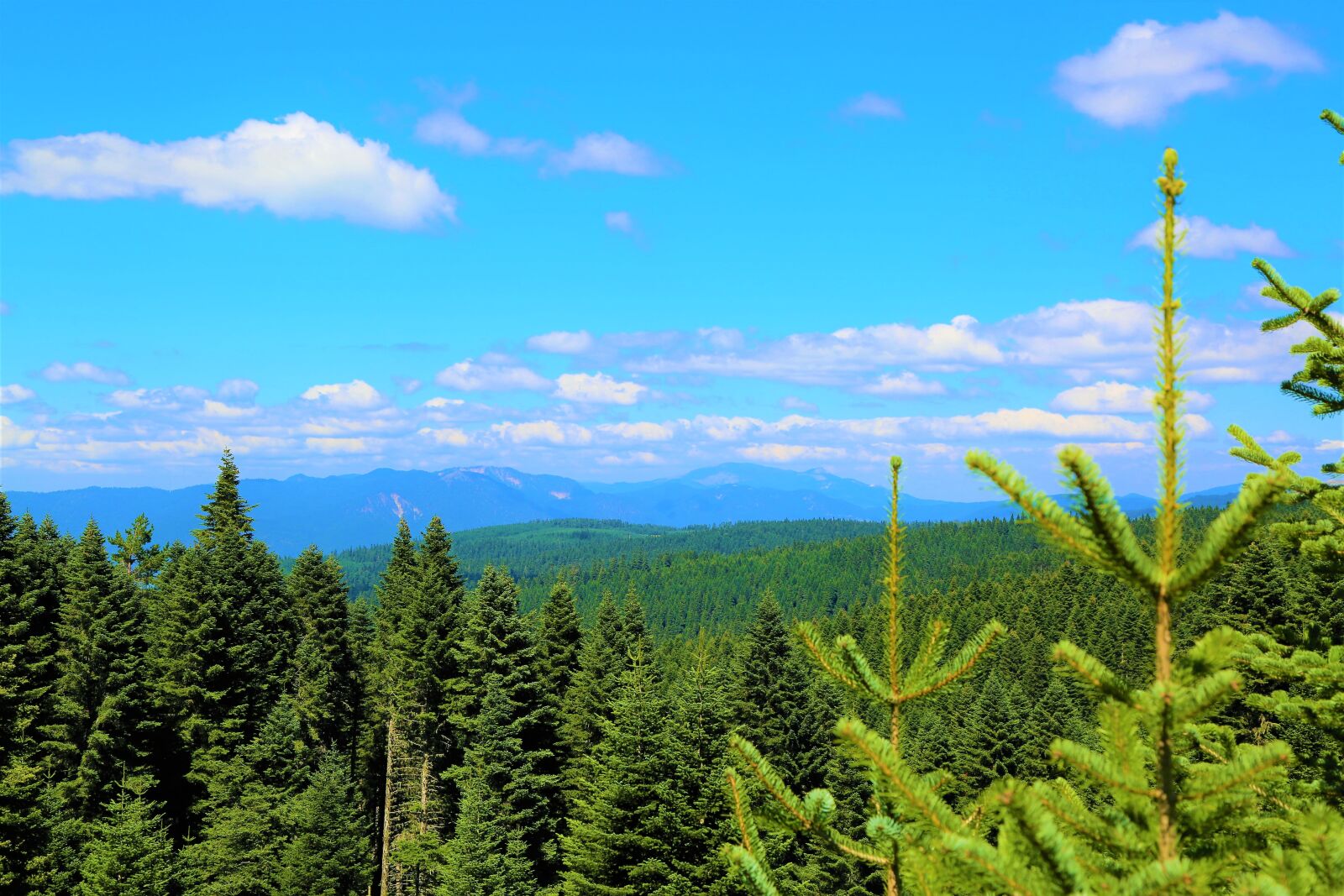 Canon EF 24-105mm F4L IS USM sample photo. Landscape, nature, sky photography
