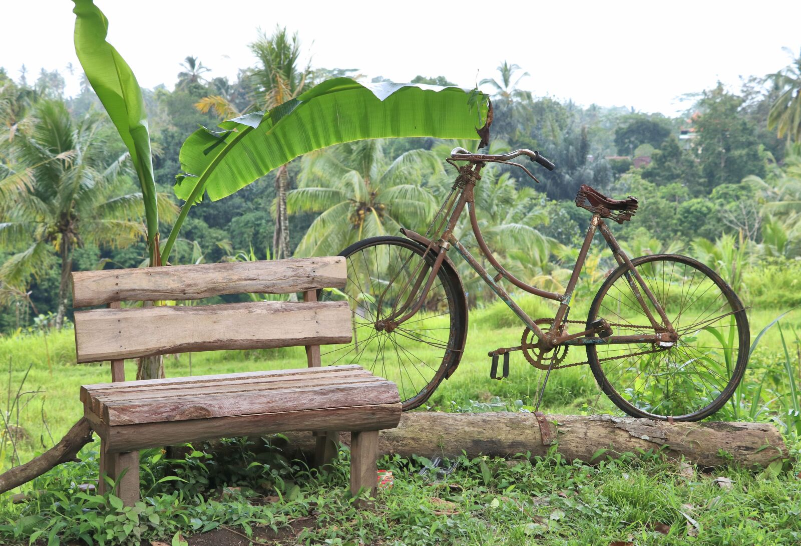 Canon EF-S 18-135mm F3.5-5.6 IS USM sample photo. Work of art, bicycle photography