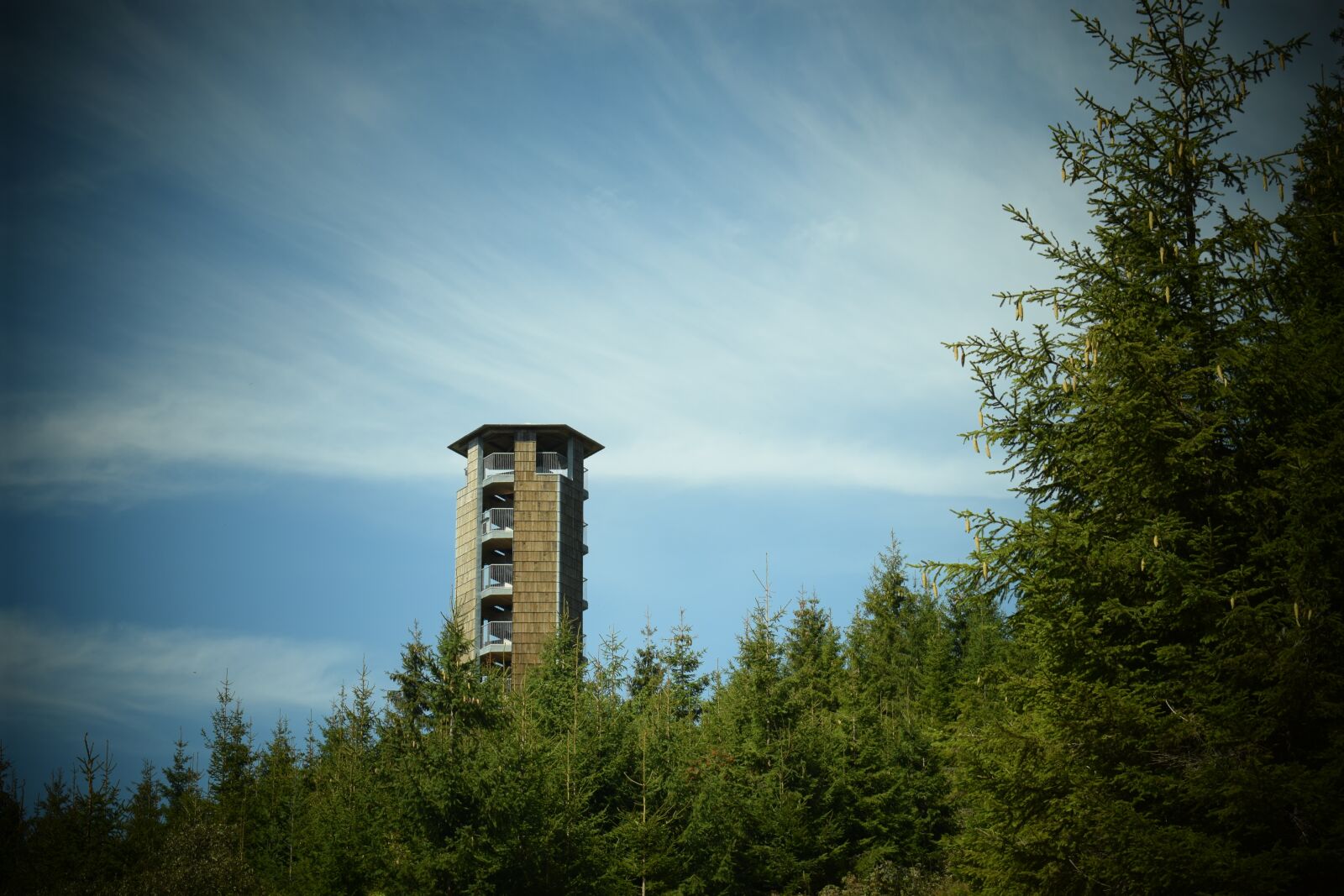 Nikon D3300 sample photo. Tower, nature, germany photography