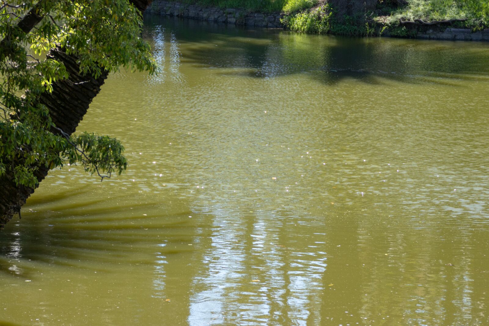 Canon EOS 200D (EOS Rebel SL2 / EOS Kiss X9) sample photo. Lake, relaxation, landscape photography