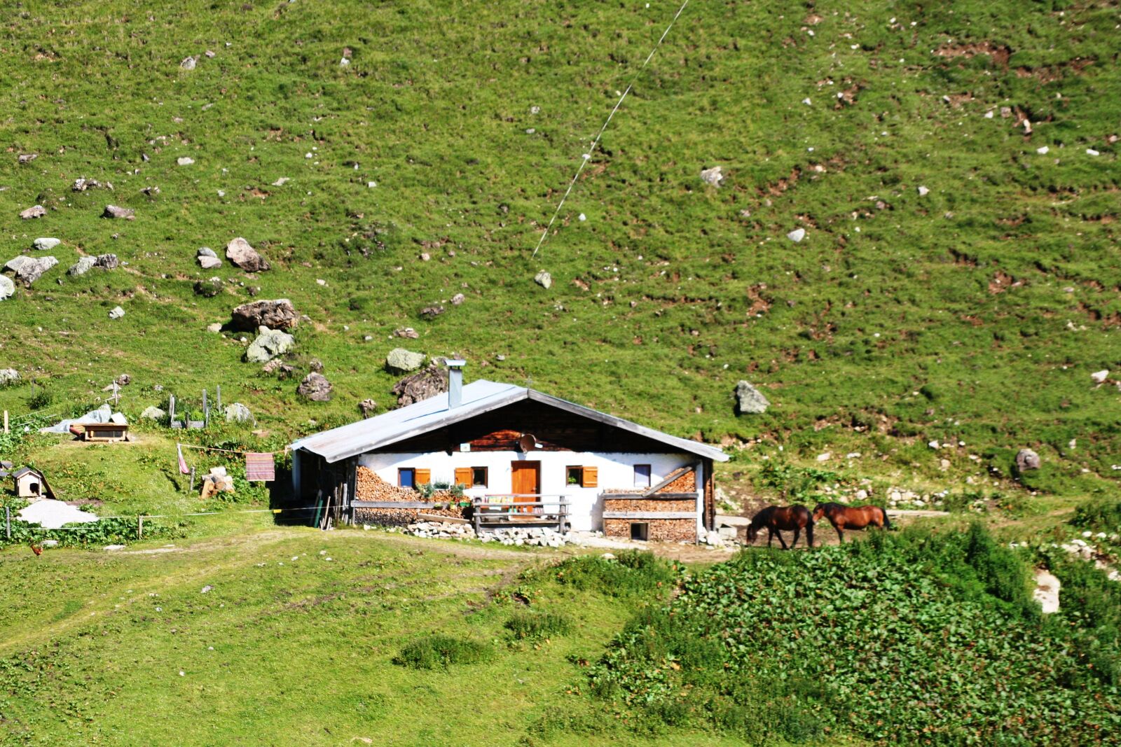 Canon EOS 350D (EOS Digital Rebel XT / EOS Kiss Digital N) sample photo. Alm, house, meadow photography