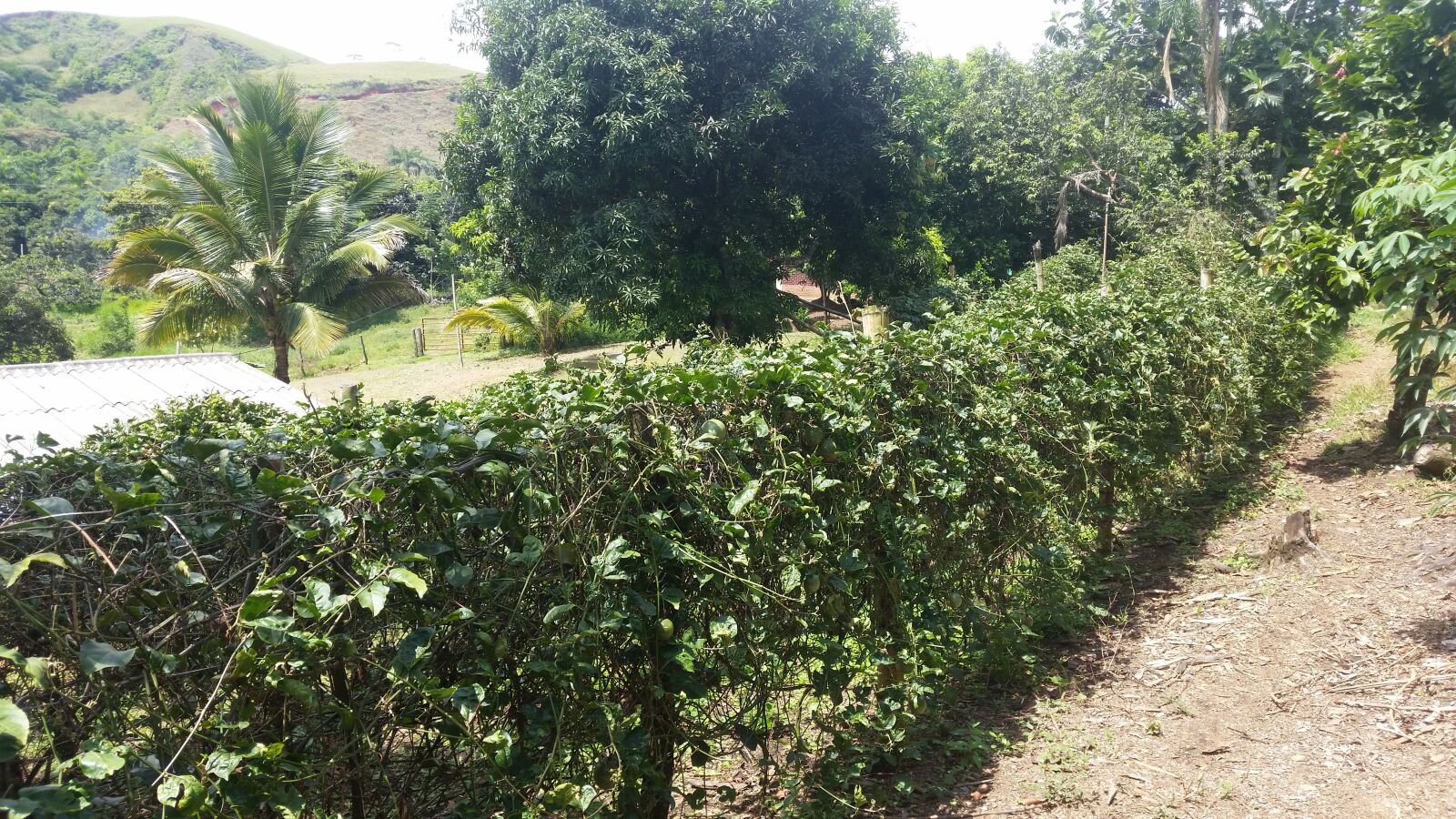 Samsung Galaxy S5 sample photo. Finca, naturaleza, cerco photography
