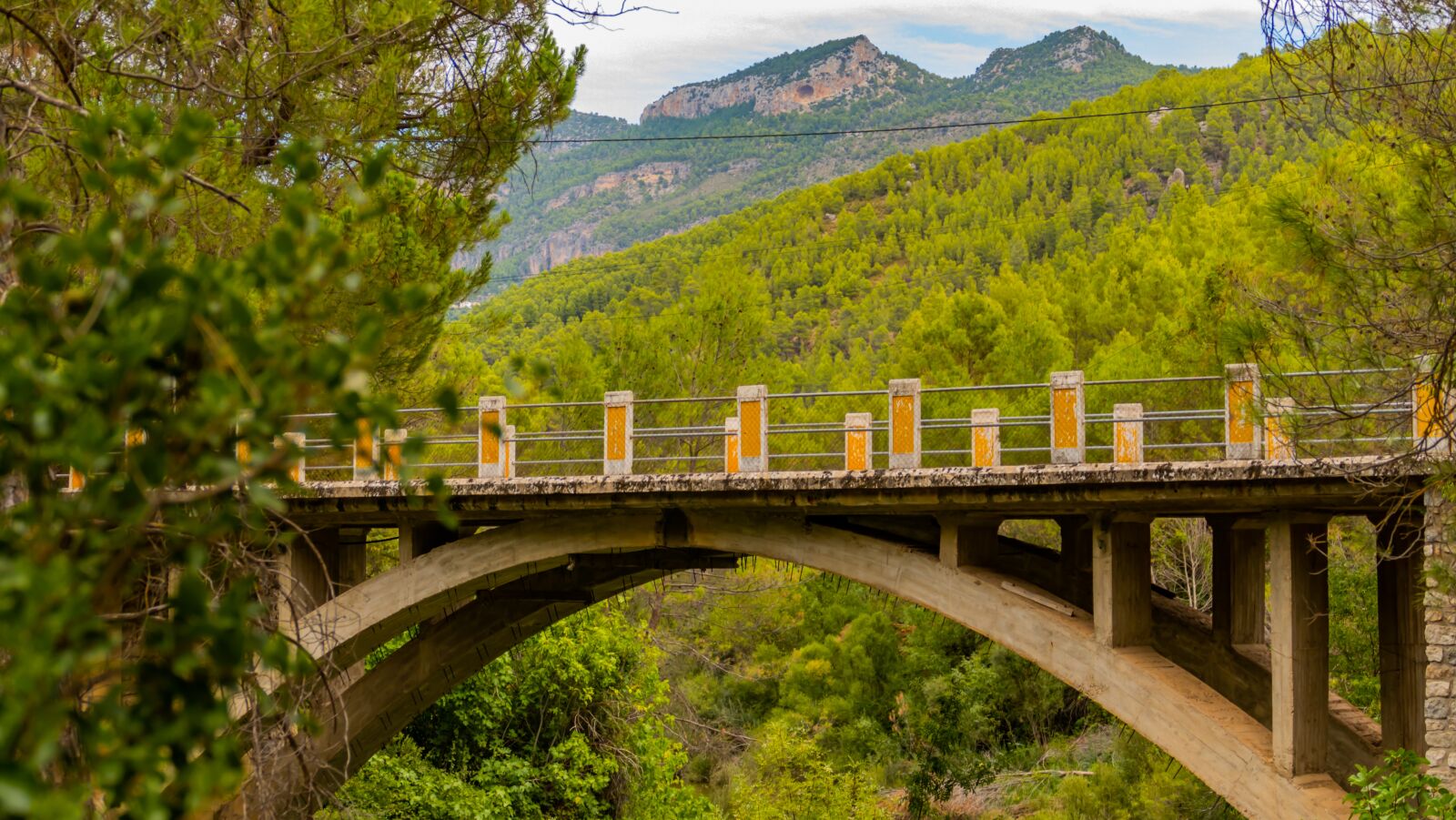 Panasonic DC-FZ10002 sample photo. Bridge, trees, mountain range photography