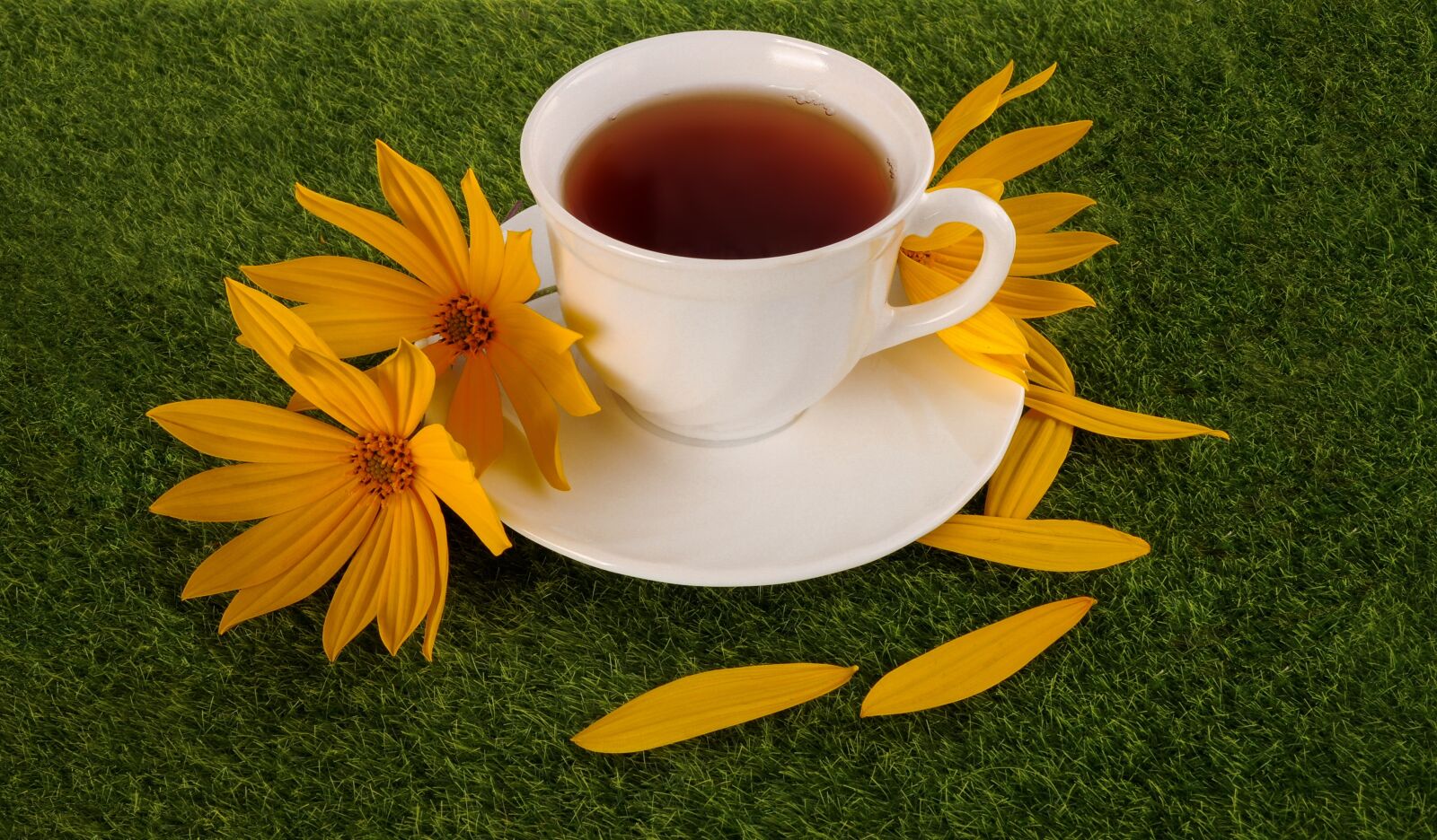 Nikon D5000 sample photo. Tea, cup, grass photography