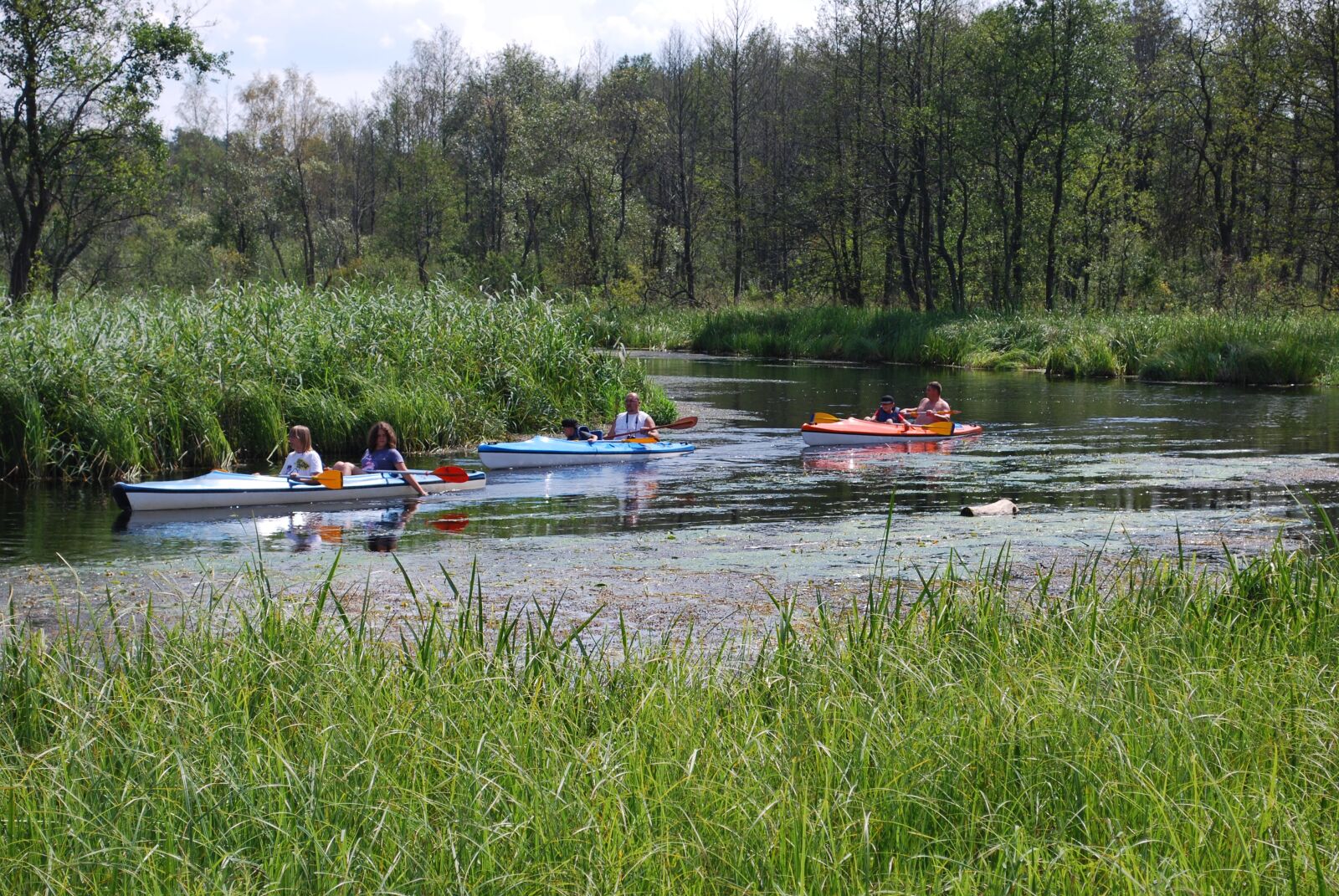 Nikon D60 sample photo. Sport, vacations, masuria photography