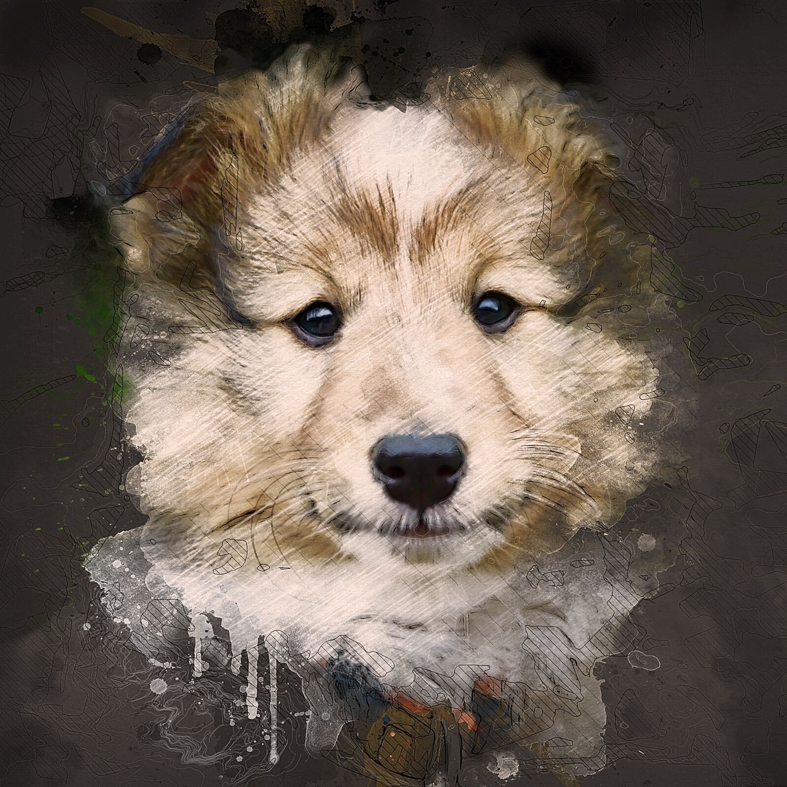 Nikon D5200 sample photo. Dog, puppy, pup photography