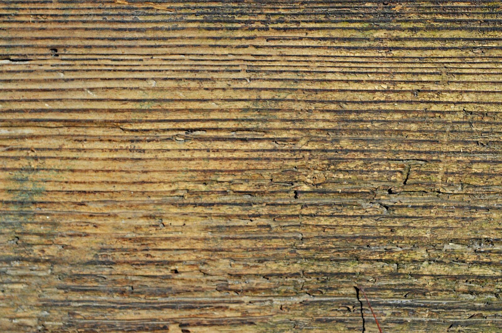Nikon D5100 sample photo. Wood, board, texture photography
