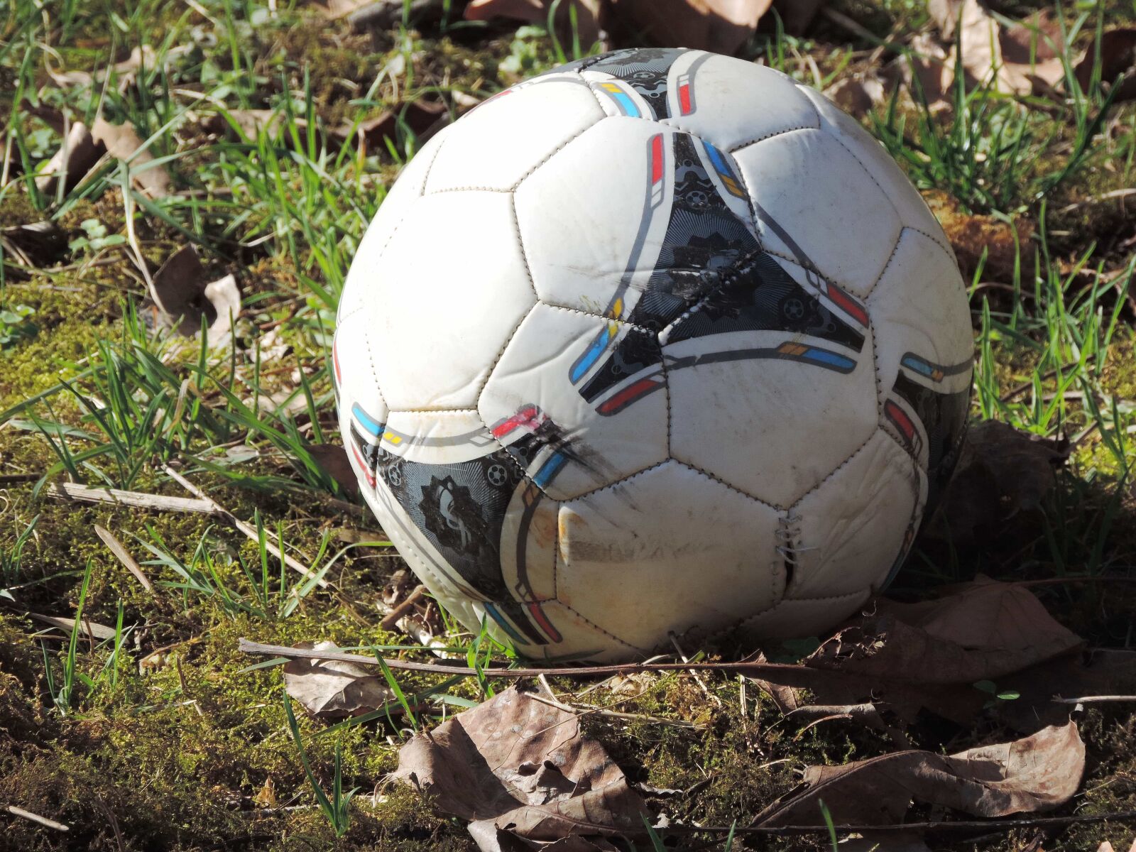 Nikon Coolpix P520 sample photo. Football, leather, goal, game photography
