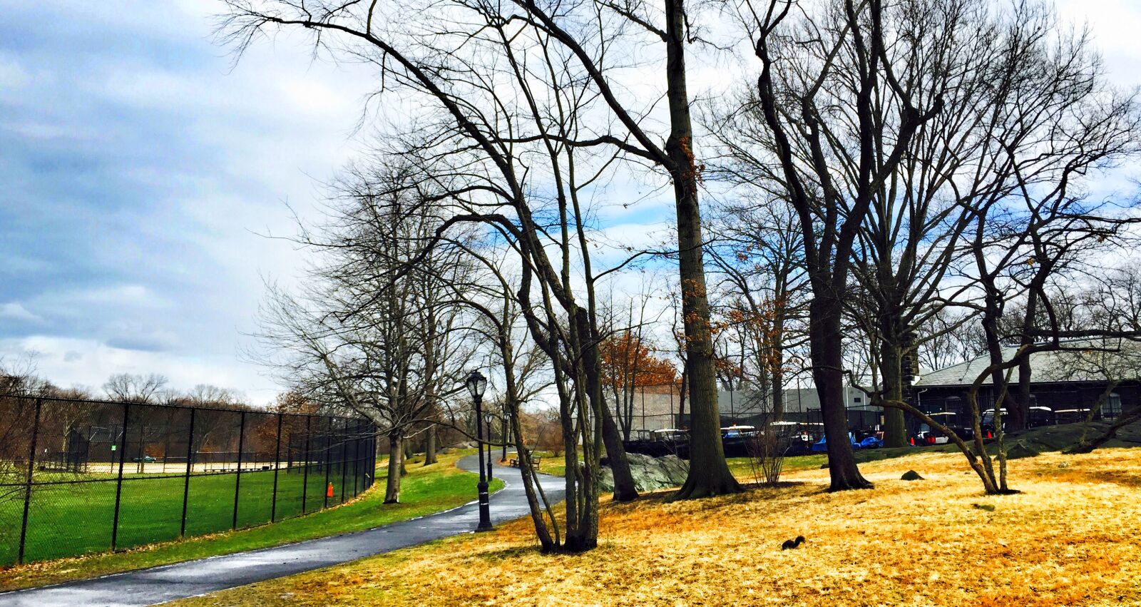 iPhone 6 back camera 4.15mm f/2.2 sample photo. Central, park photography