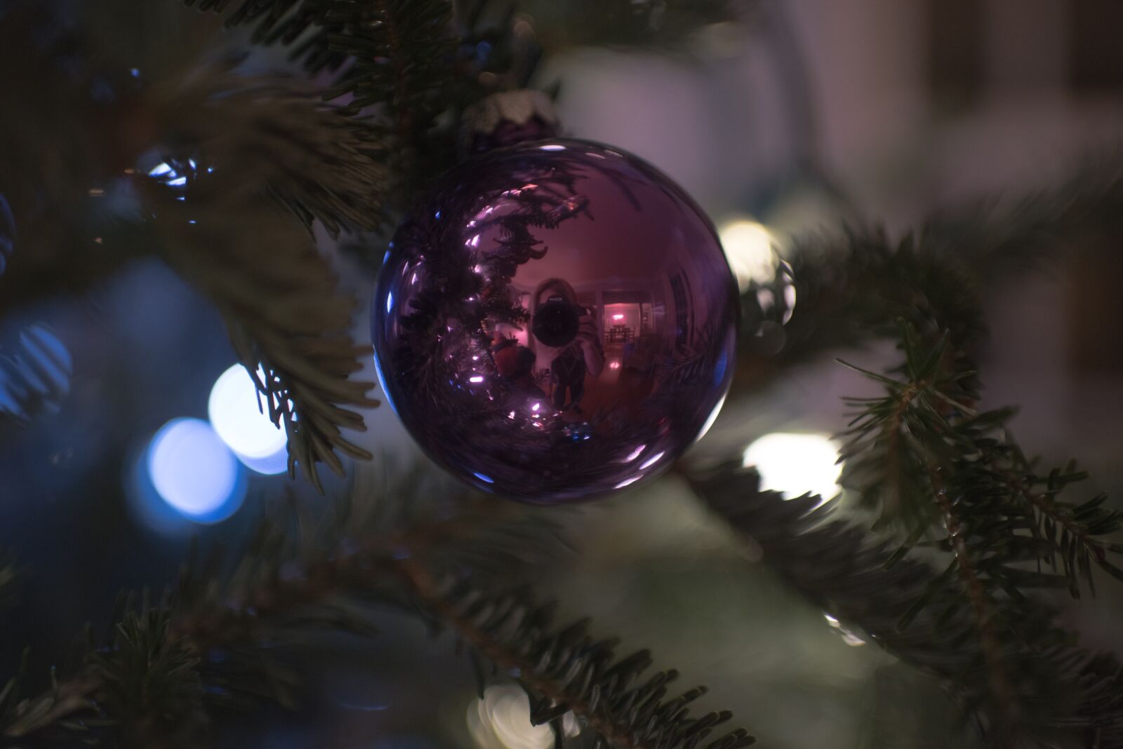 Nikon D810 sample photo. Christmas, decor, ball photography