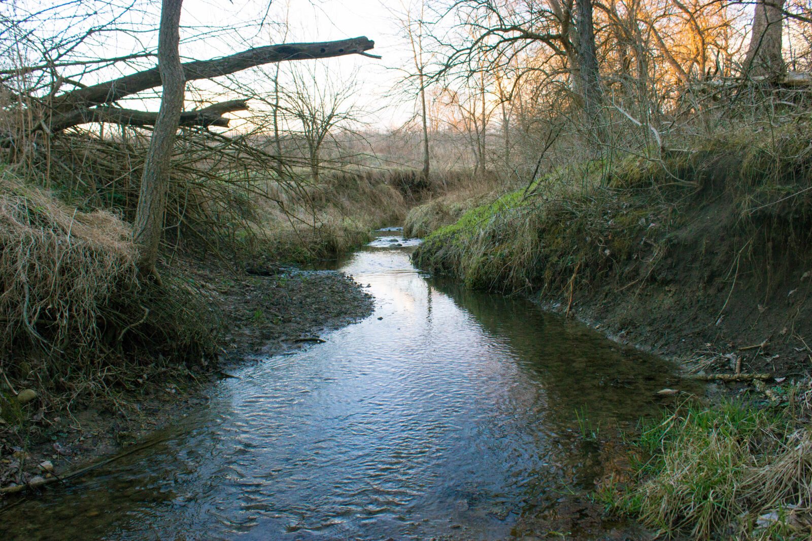 Canon EOS 600D (Rebel EOS T3i / EOS Kiss X5) sample photo. Blue, water, creek, grass photography