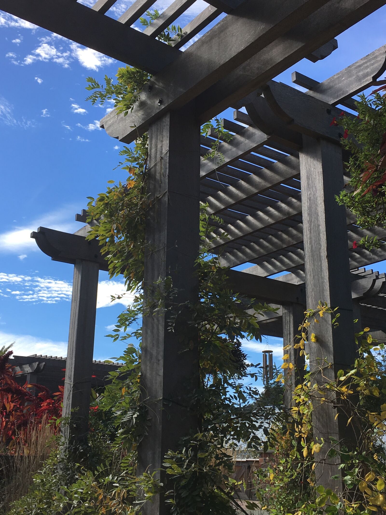 iPhone 6s back camera 4.15mm f/2.2 sample photo