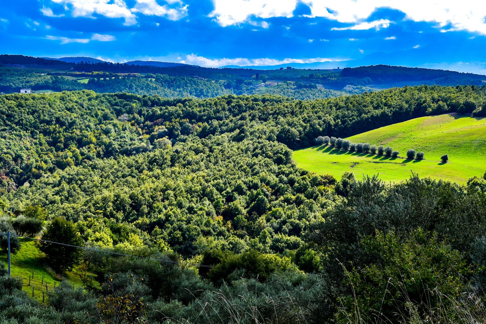 Nikon D7500 sample photo. Olive, italy, grove photography