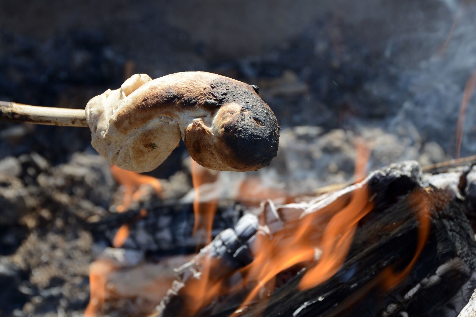Nikon D7100 sample photo. Snake bread, bread, fire photography