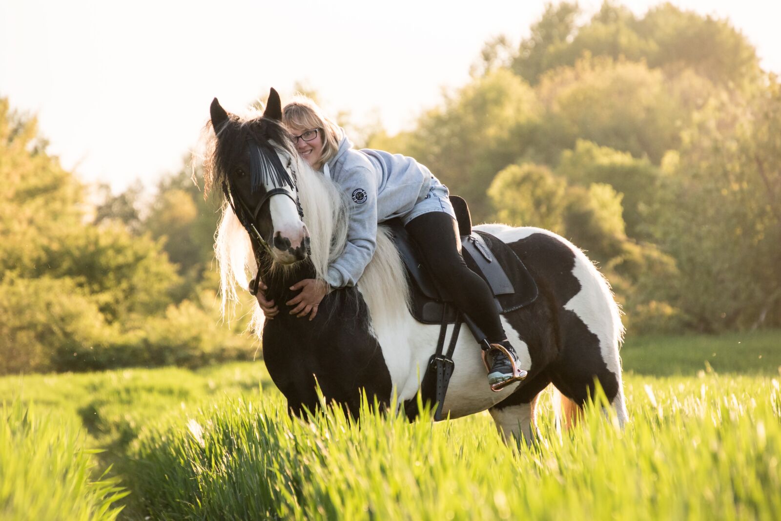 Nikon D5600 sample photo. Tinker, horse, animal photography
